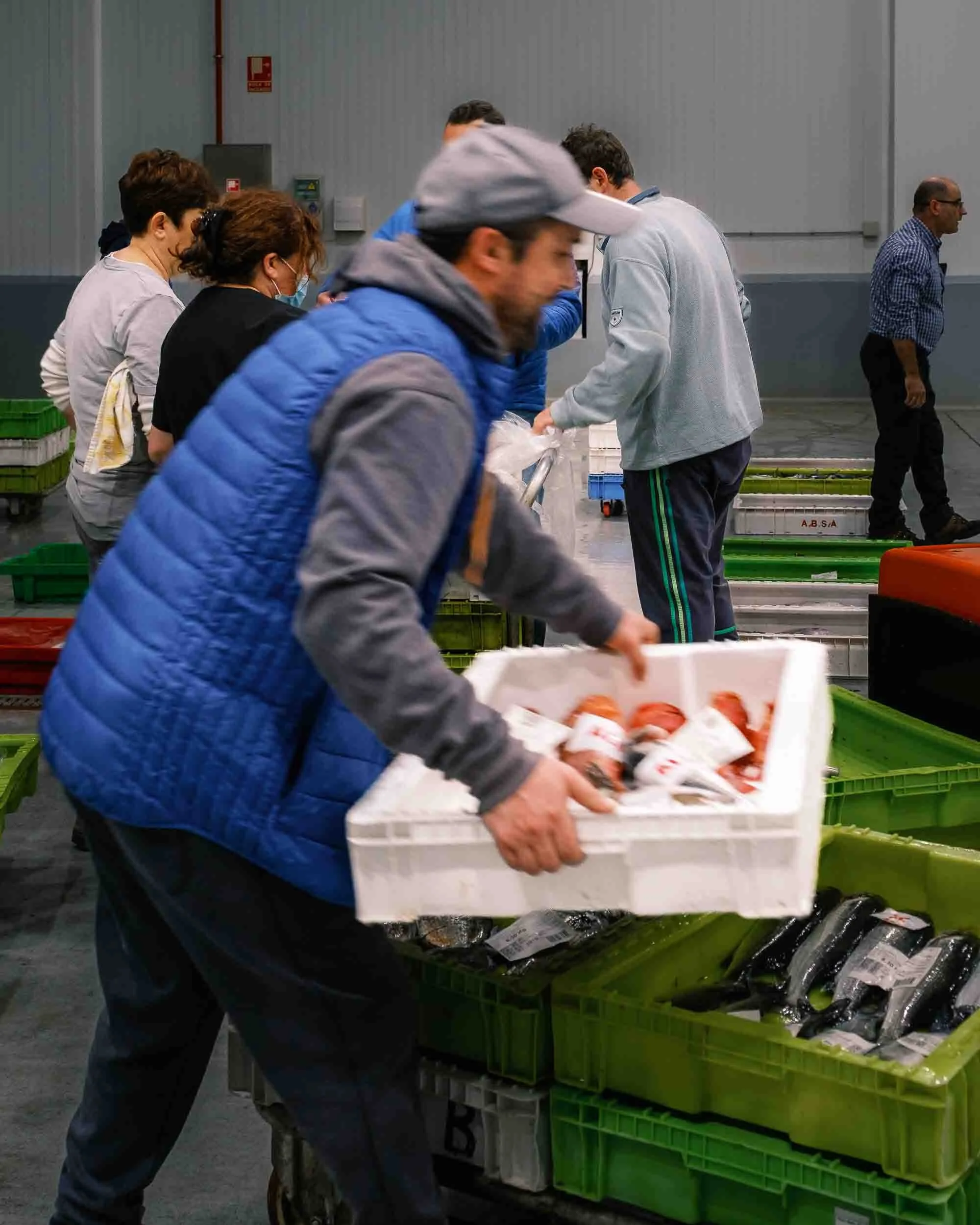 Cajas de pescado de artes menores apiladas y listas para la distribución en la Lonja de Cedeira.