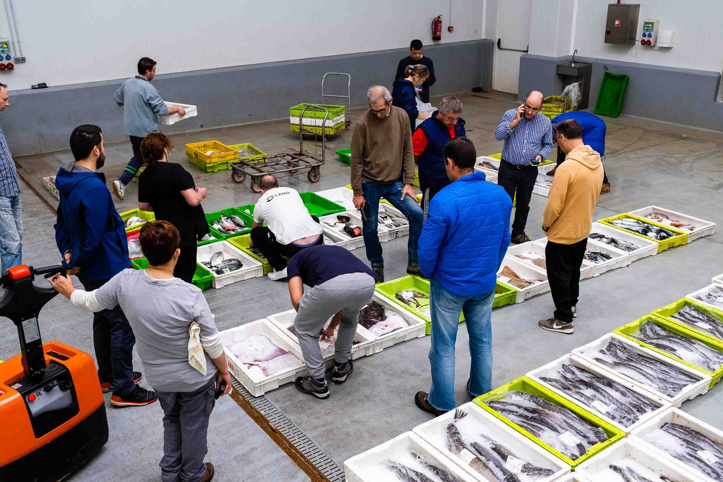Interior de la Lonja de Cedeira durante la subasta de marisco y pescado de bajura.