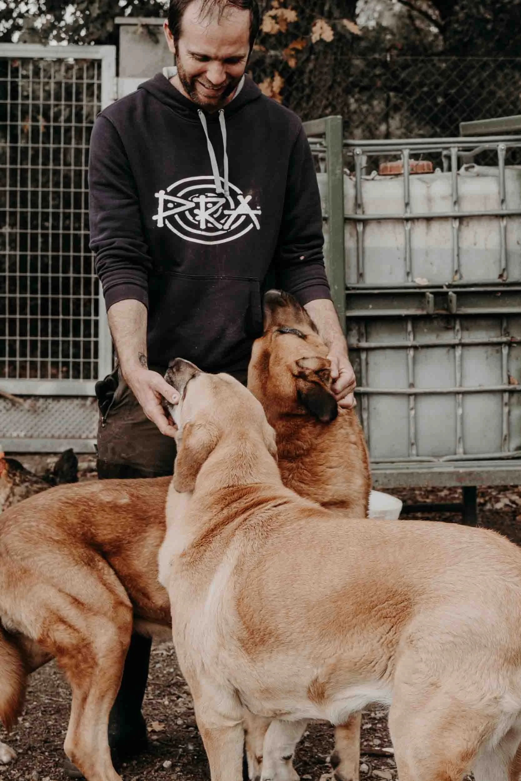 El ganadero Xosé Manuel acariciando a sus mastines españoles adultos, capturando la relación de confianza y respeto entre humano y animal.