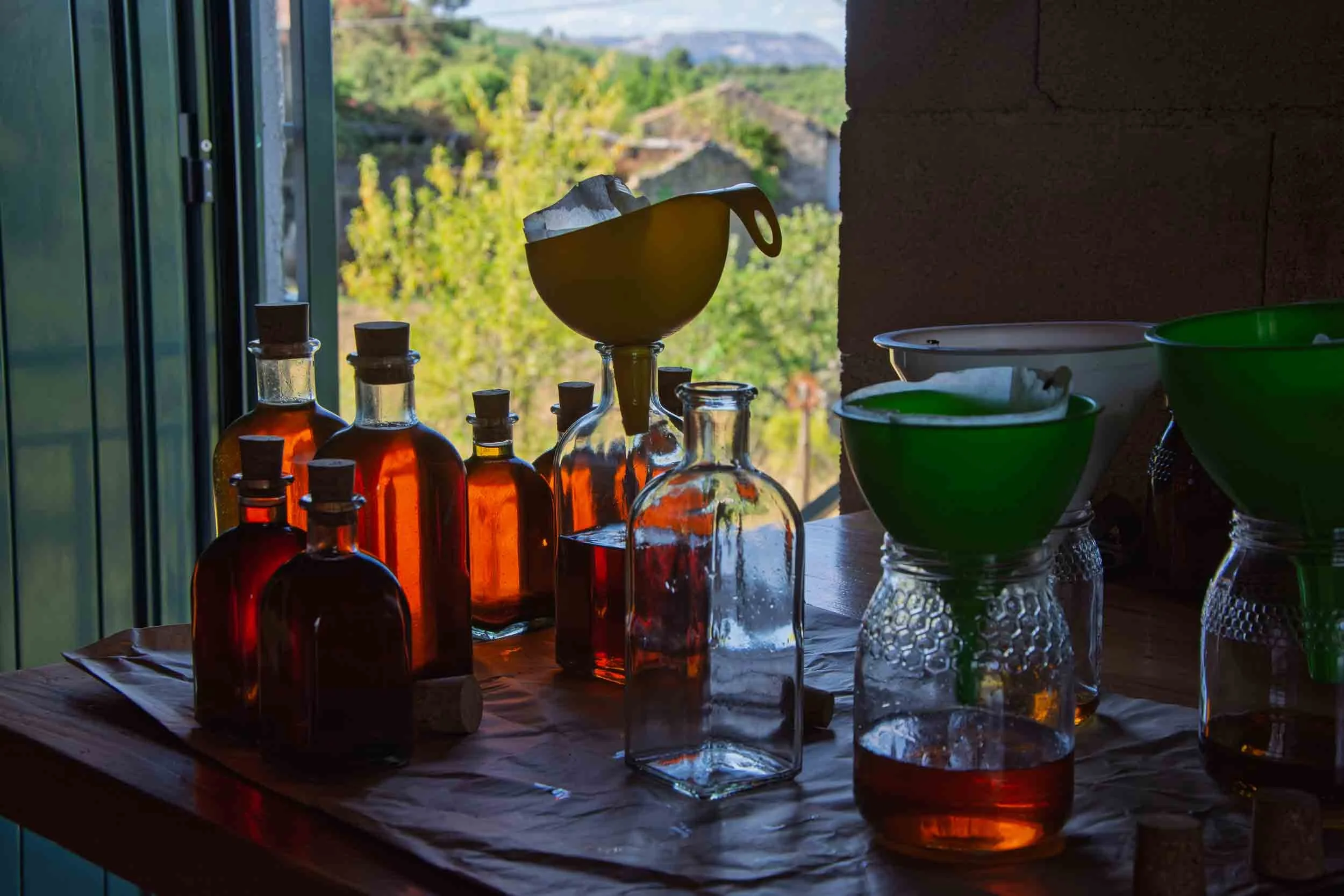 Fila de tarros de miel artesana en frascos de cristal, destacando su color ámbar natural y pureza.