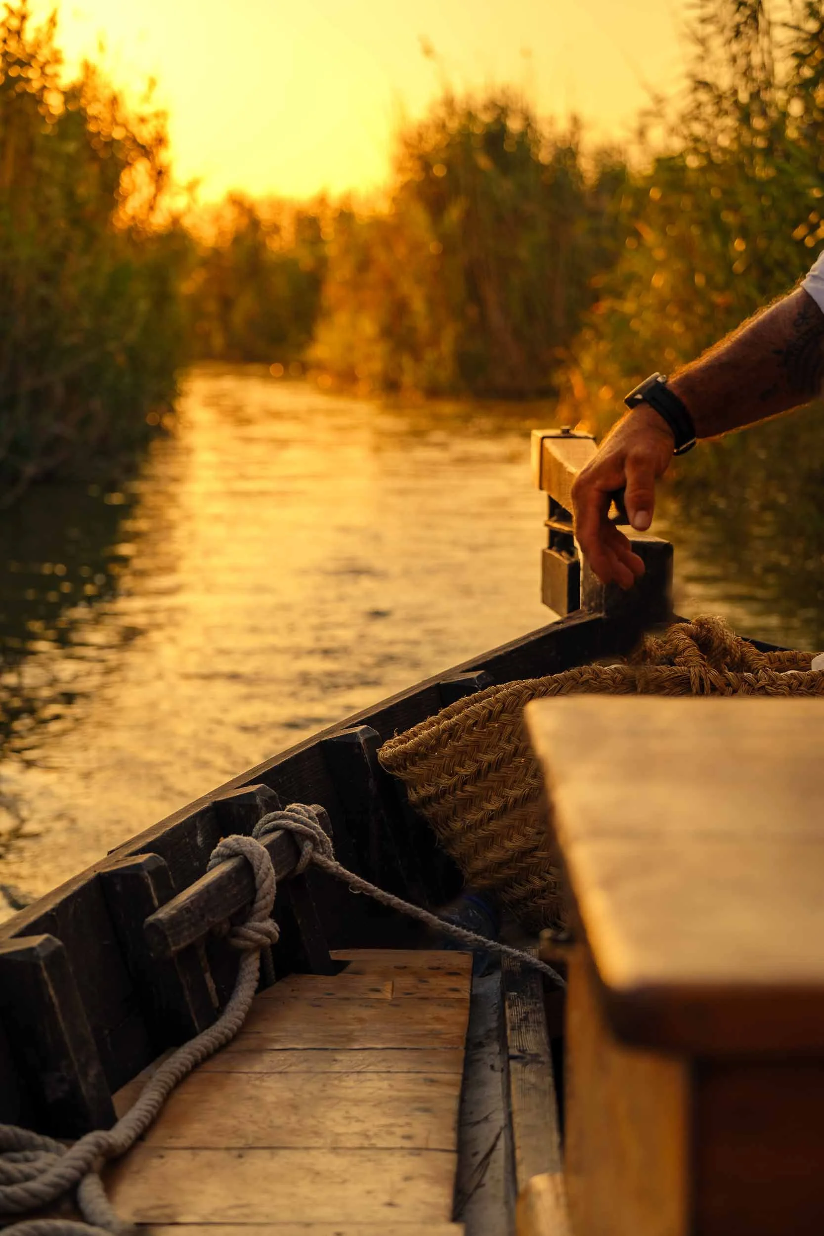 Puesta de sol en la Albufera de Valencia con siluetas de barcas tradicionales, fotografía atmosférica de humedales.