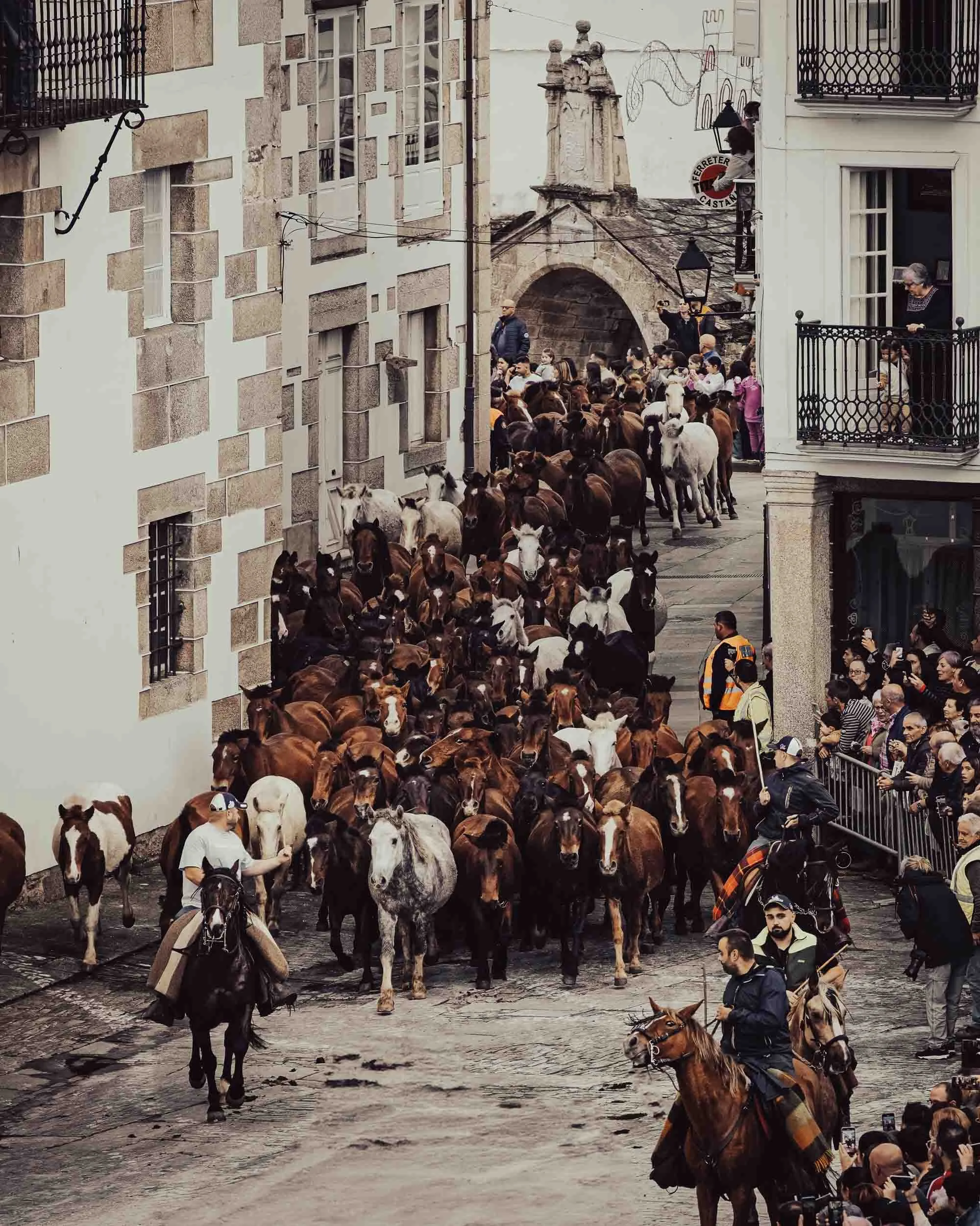 Impresionante imagen de la manada de caballos entrando en la plaza de la catedral de Mondoñedo, fusionando naturaleza y arquitectura histórica.