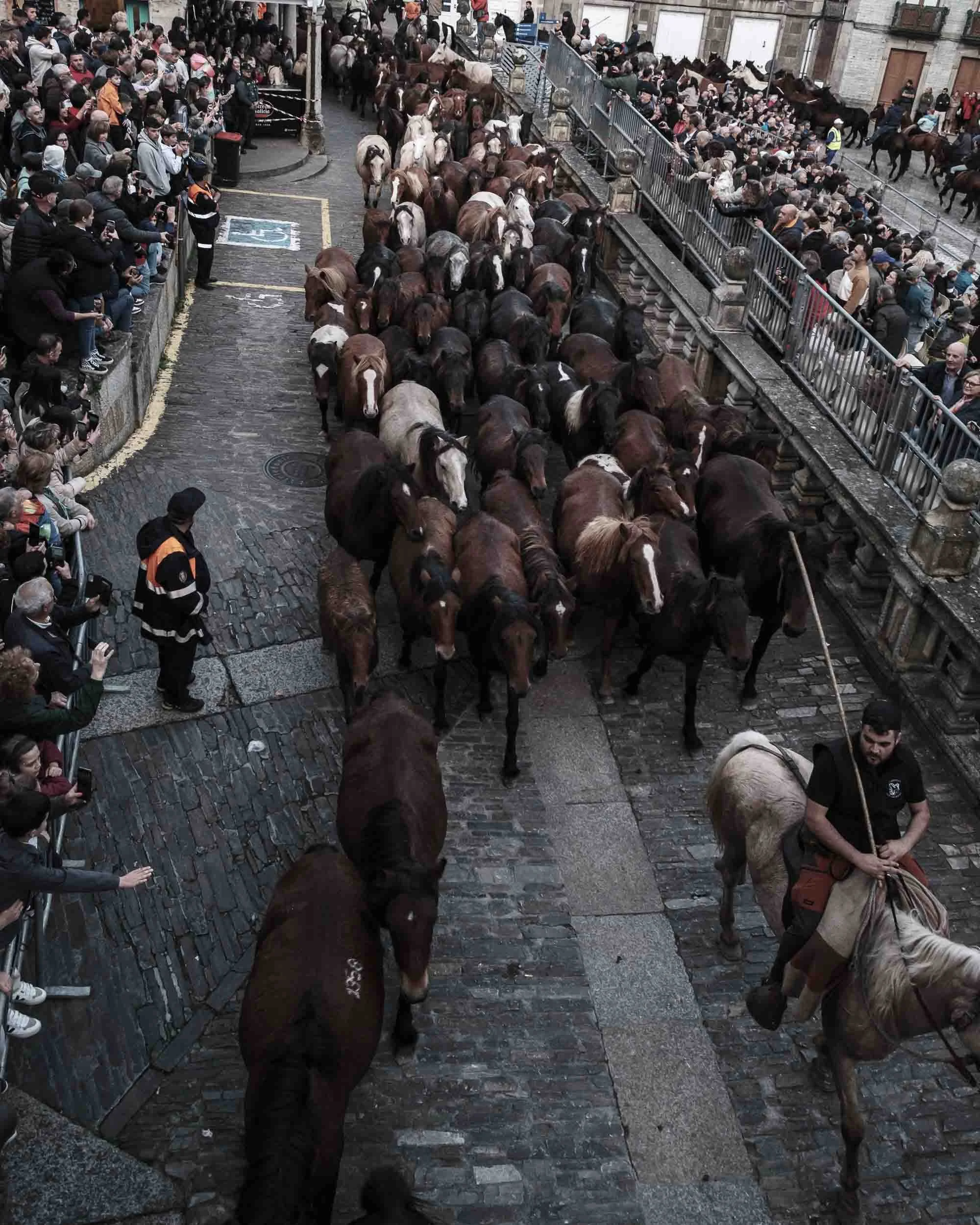 Grupo de jinetes dirigiendo a la manada por las calles empedradas históricas de Mondoñedo durante la tradicional bajada de las bestas.