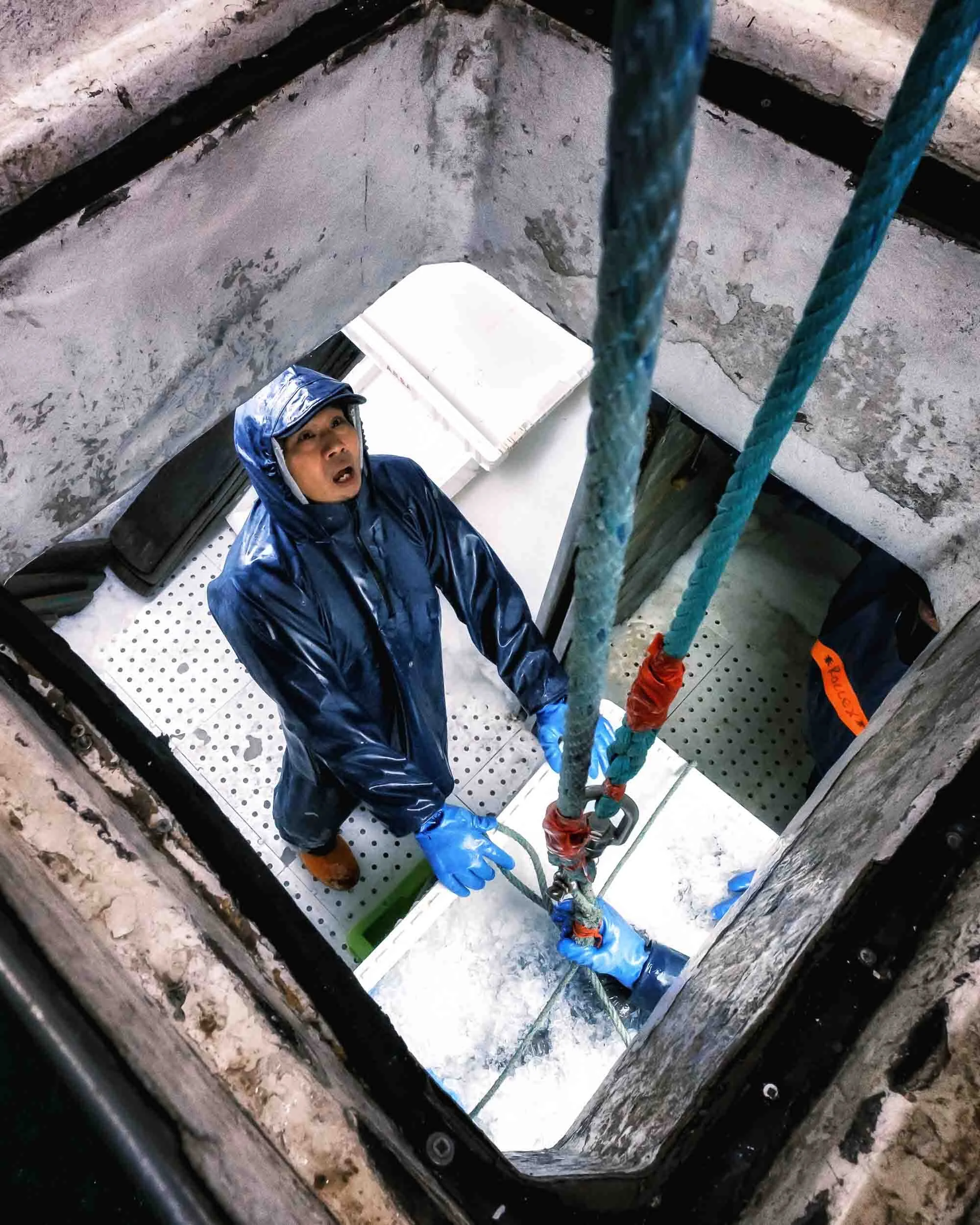 Primer plano de la captura fresca en cajas con hielo, garantizando la calidad de la OPP-7 Burela.