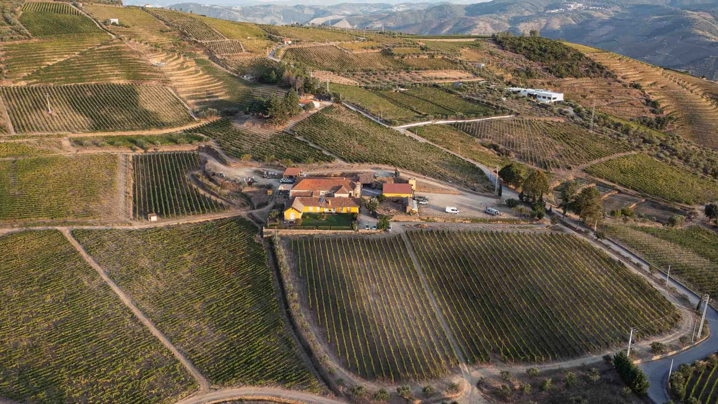 Paisaje de viñedos en terrazas del Douro en Quinta do Monte Travesso mostrando la extensión de la finca.