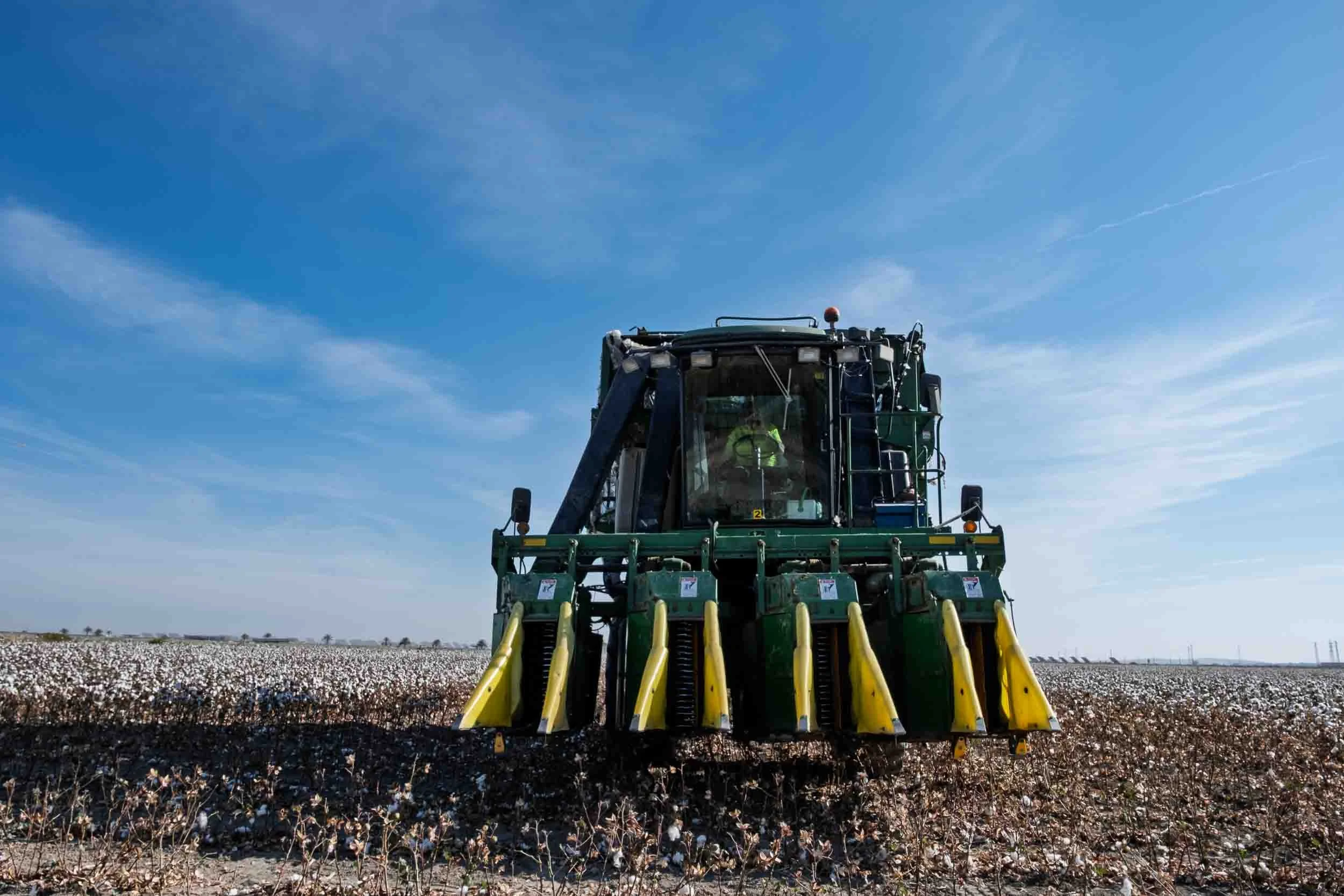 cosecha-mecanizada-algodon-lebrija-sevilla.jpg