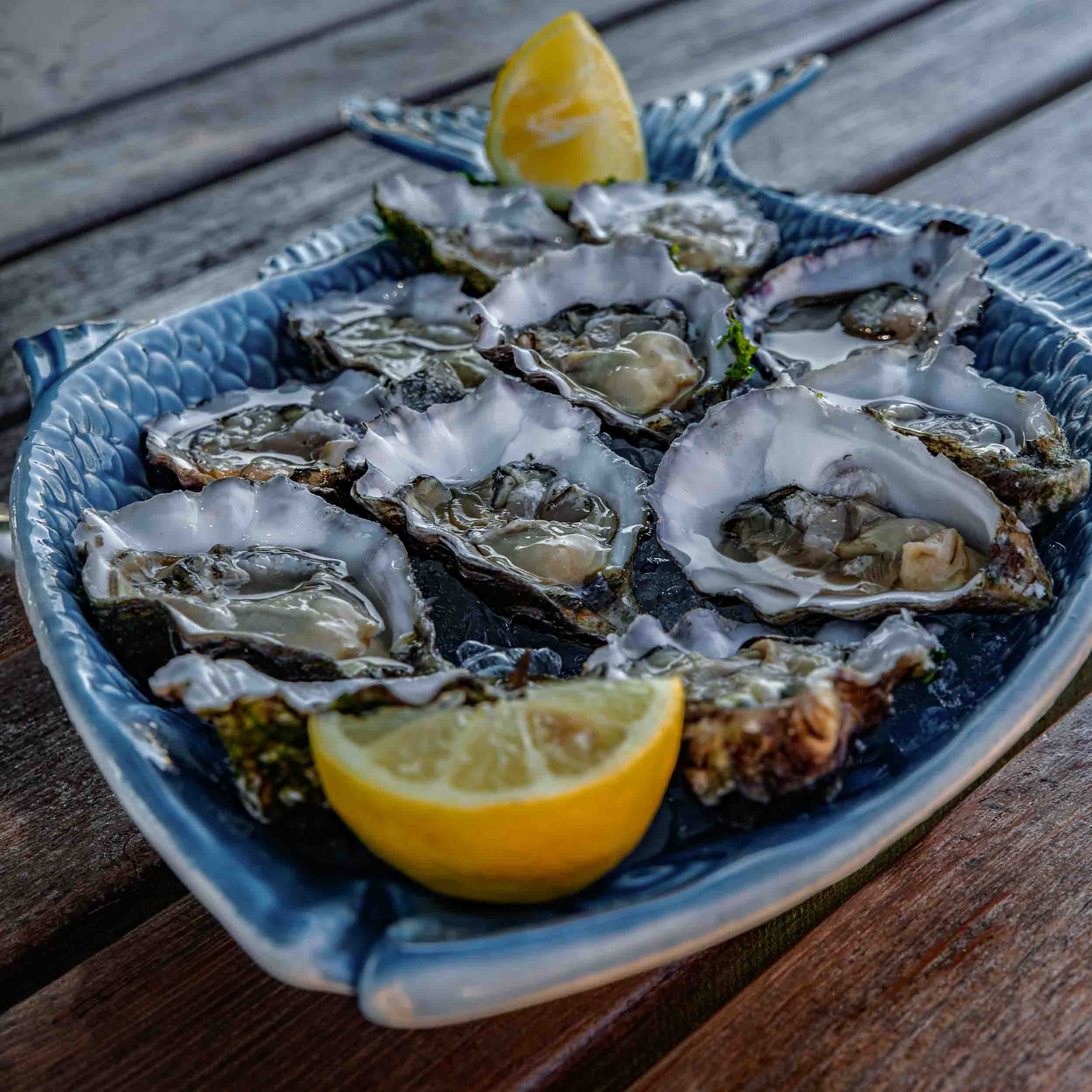 Primer plano de ostras abiertas con rodajas de limón en plato decorativo, fotografía gastronómica de alta gama con enfoque en el detalle.