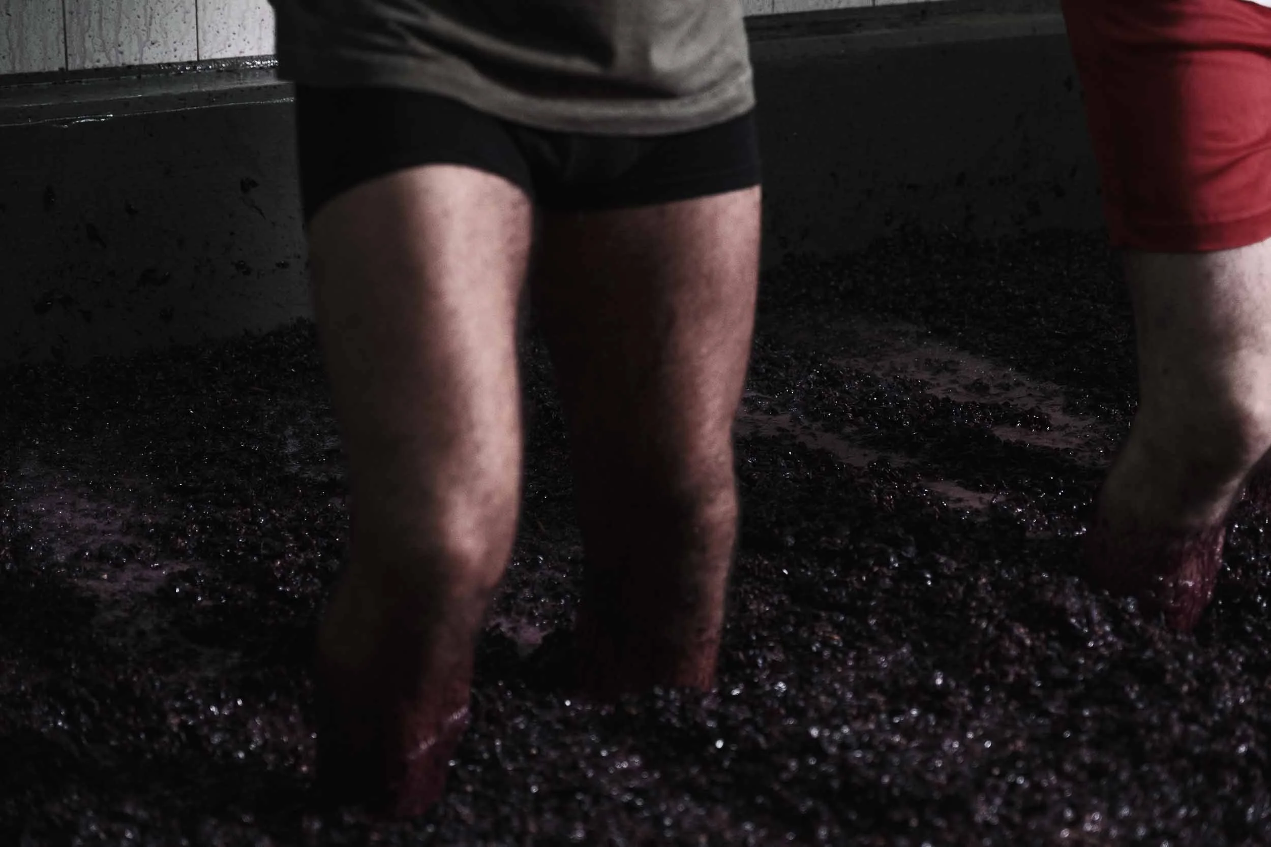 Primer plano de la pisada tradicional de uva en lagar de piedra, fotografía de autor sobre la elaboración artesanal del vino.