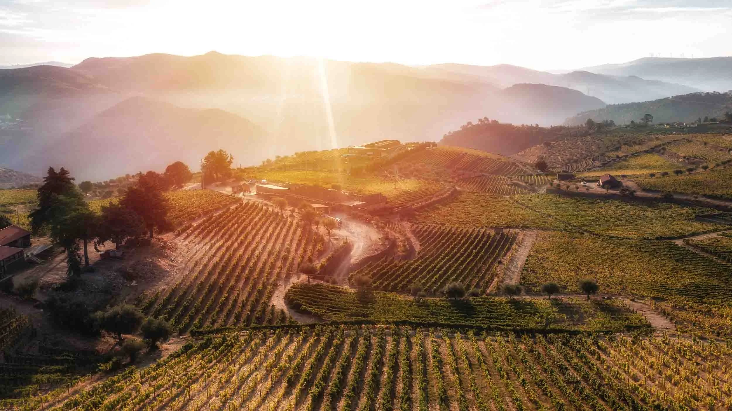 Terrazas de viñedos en el valle del Douro, Portugal, fotografía de paisaje vinícola Patrimonio de la Humanidad.