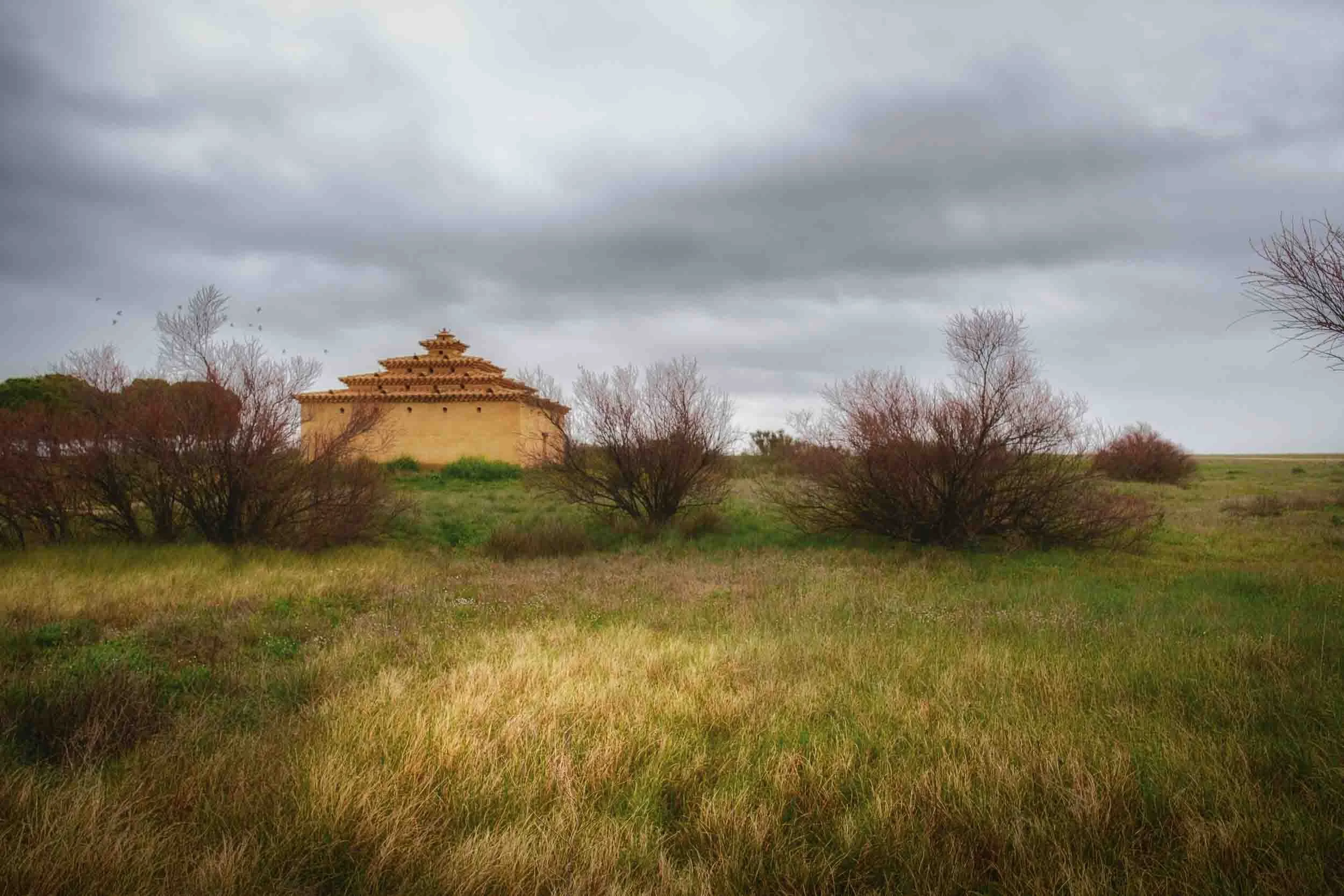 Palomar tradicional de barro y adobe en Tierra de Campos, fotografía de arquitectura rural popular en peligro de desaparición.