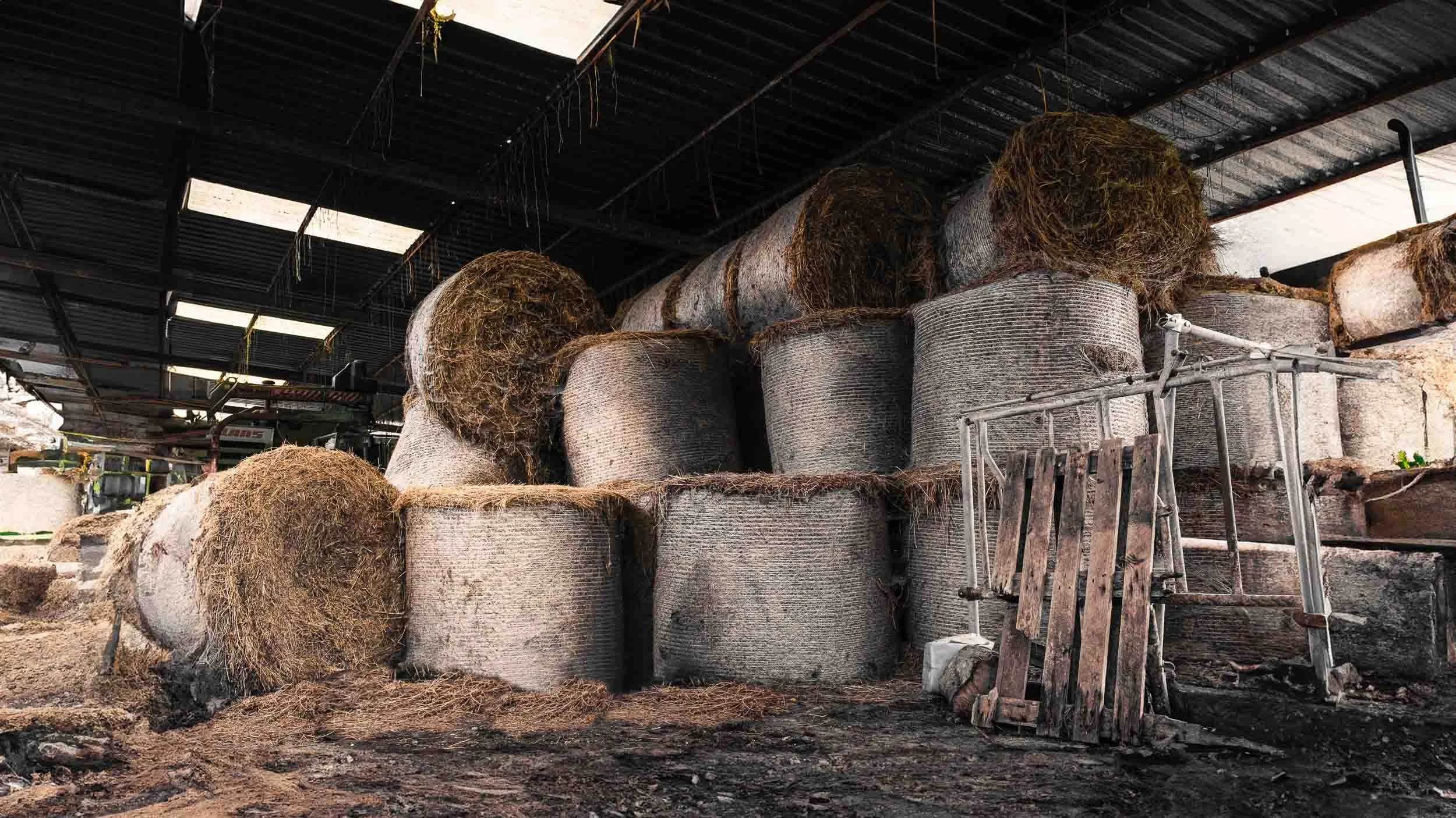 Acopio de balas de heno en una nave agrícola, resaltando la repetición geométrica y las texturas de la paja seca.