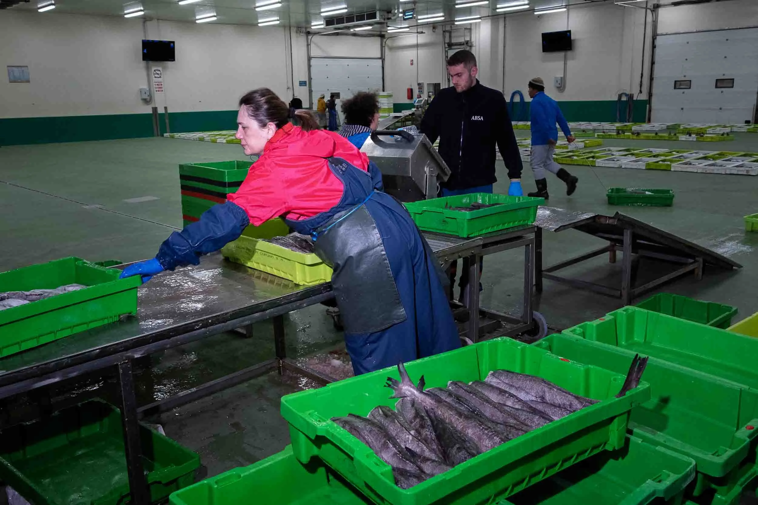 Primer plano del lomo plateado y la frescura de la Merluza del Pincho capturada con artes fijas.