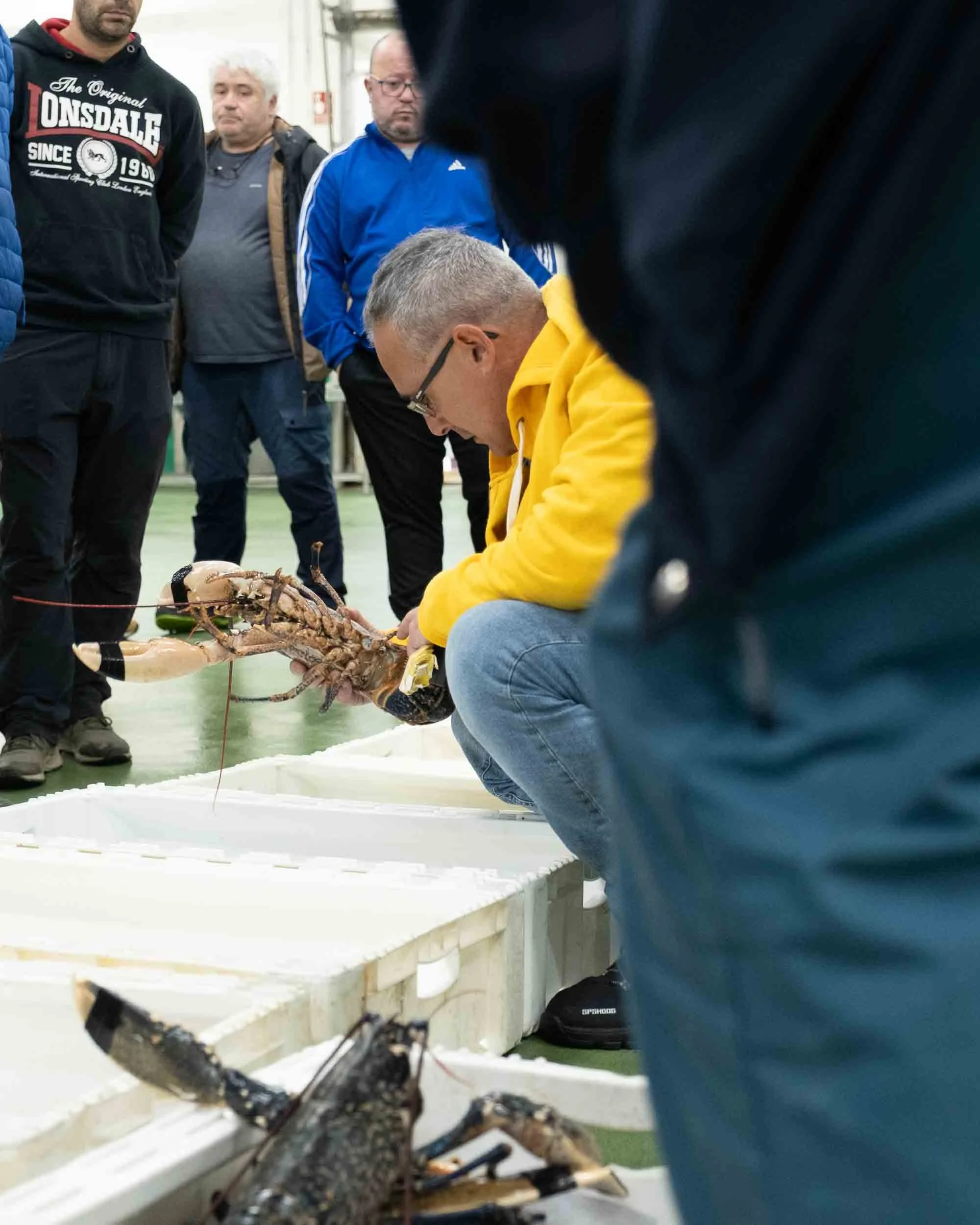 Bodegón natural de marisco fresco variado en una lonja gallega, destacando la calidad y el brillo del producto del Atlántico.