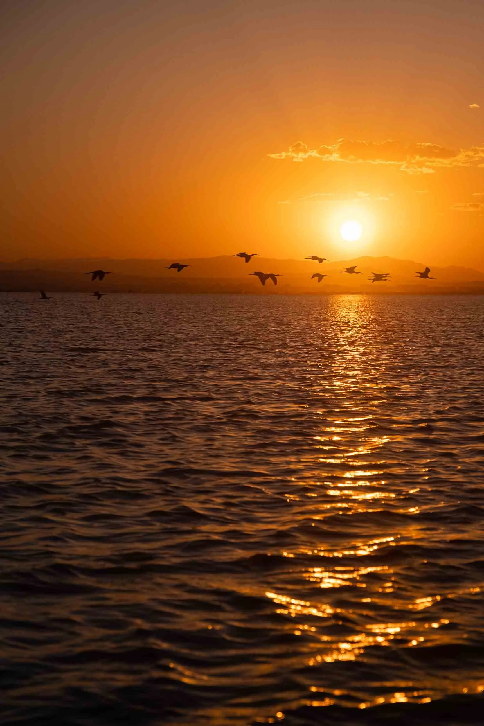 Cielo rojizo reflejado en las aguas tranquilas de la Albufera de Valencia, fotografía de paisaje místico al atardecer.