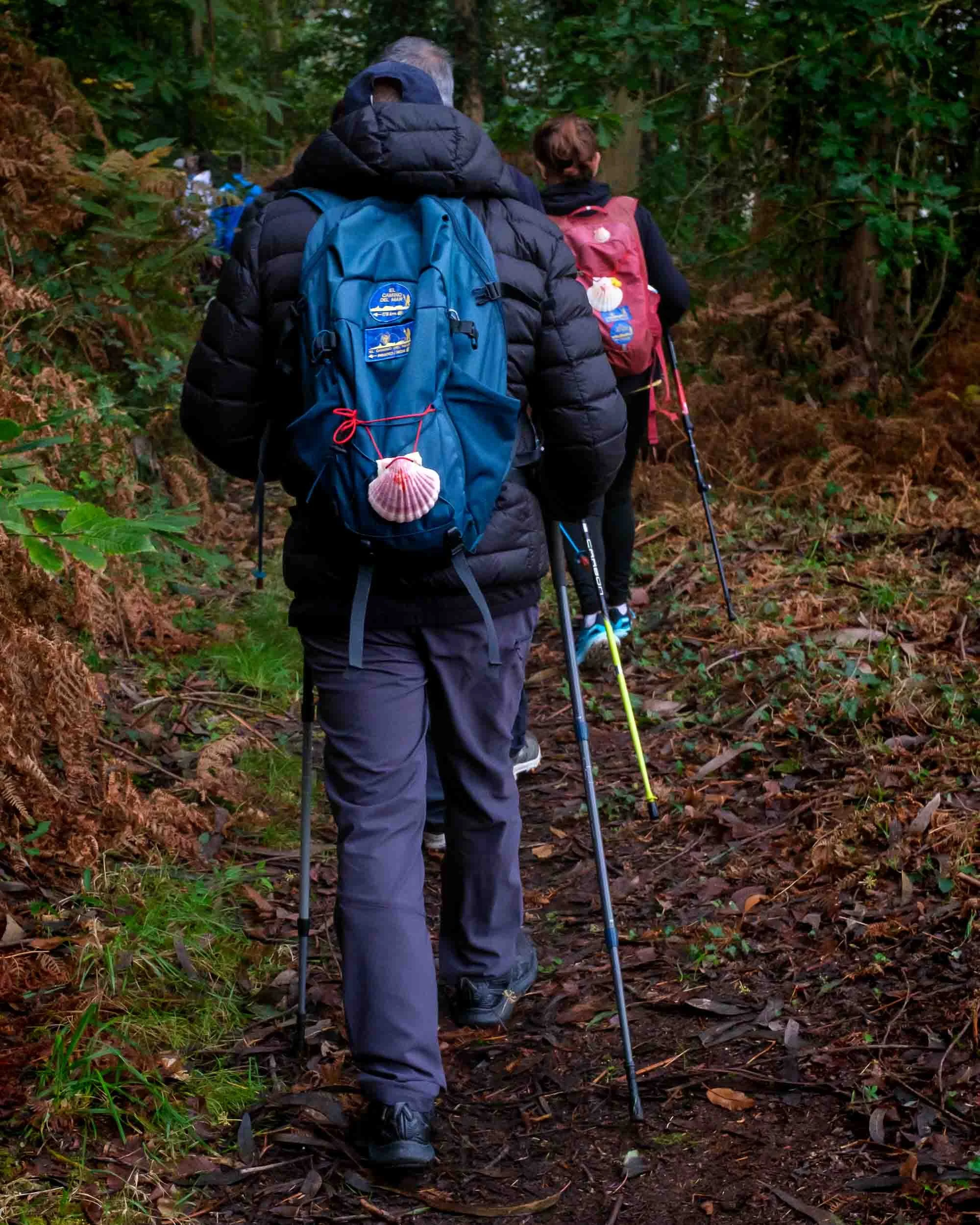 Peregrinos caminando por los senderos de A Mariña Lucense.