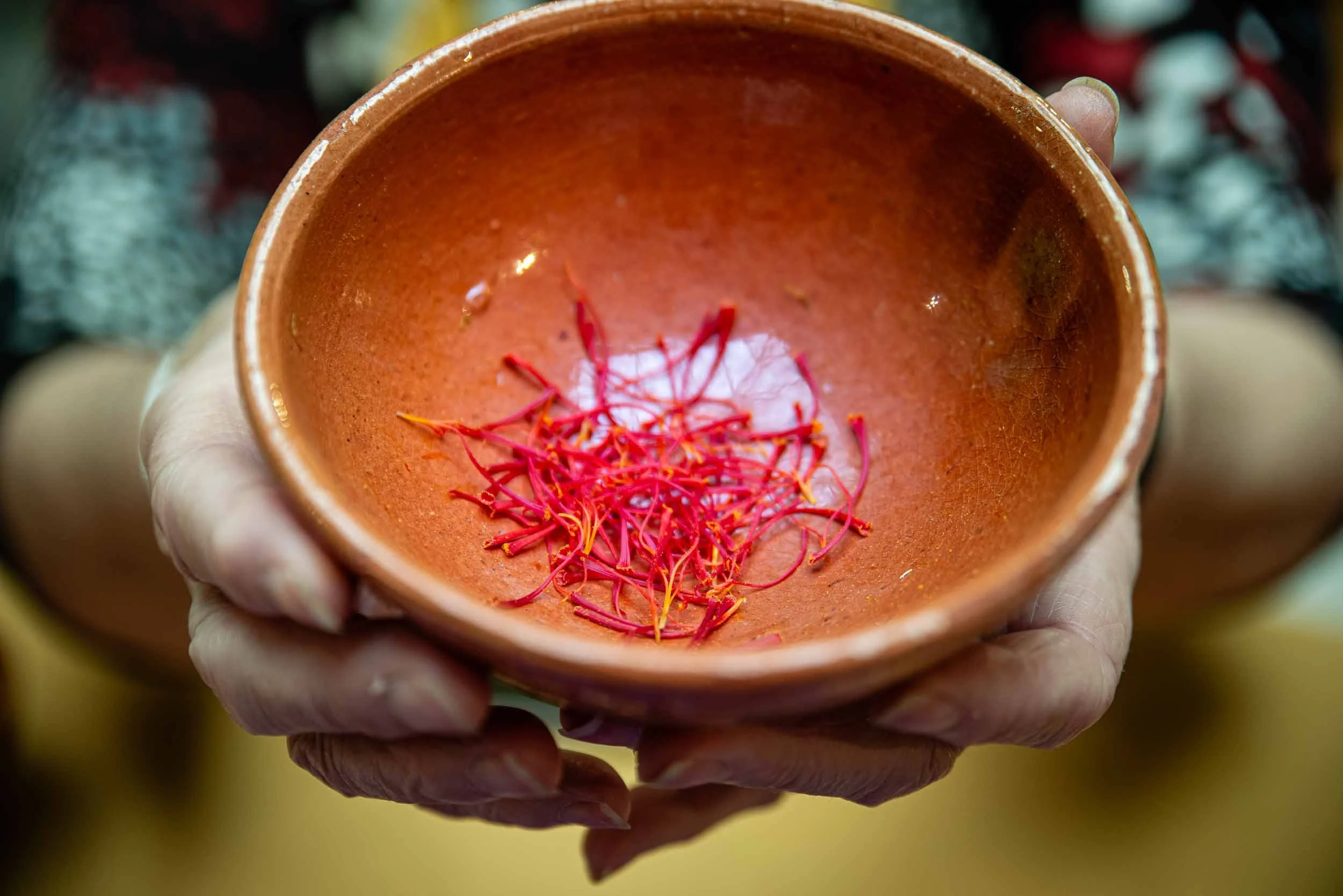 Plato con una montaña de estigmas de azafrán frescos recién extraídos.
