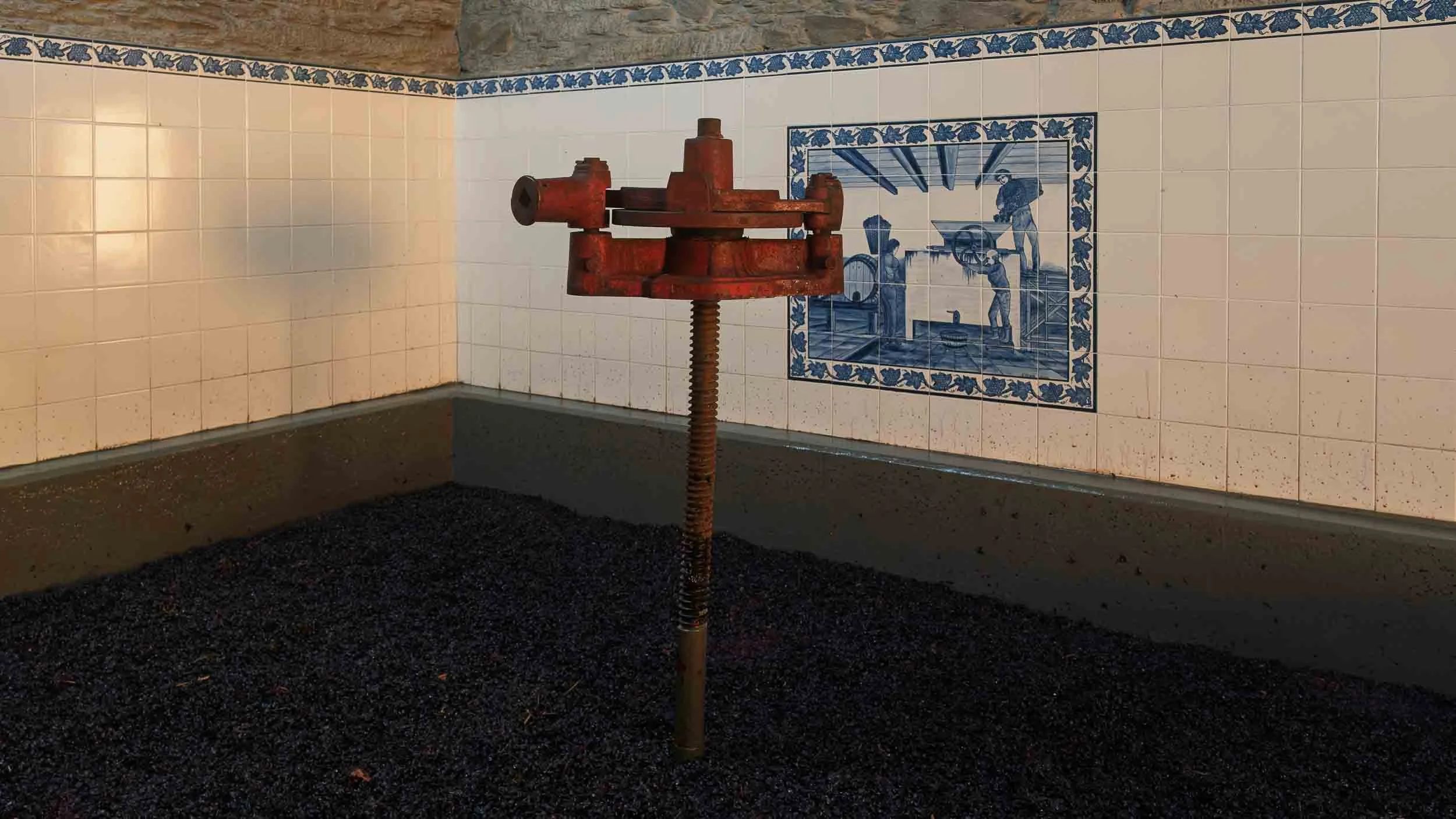 Racimos de uva seleccionada depositados en el lagar de granito antes de comenzar el pisado tradicional.