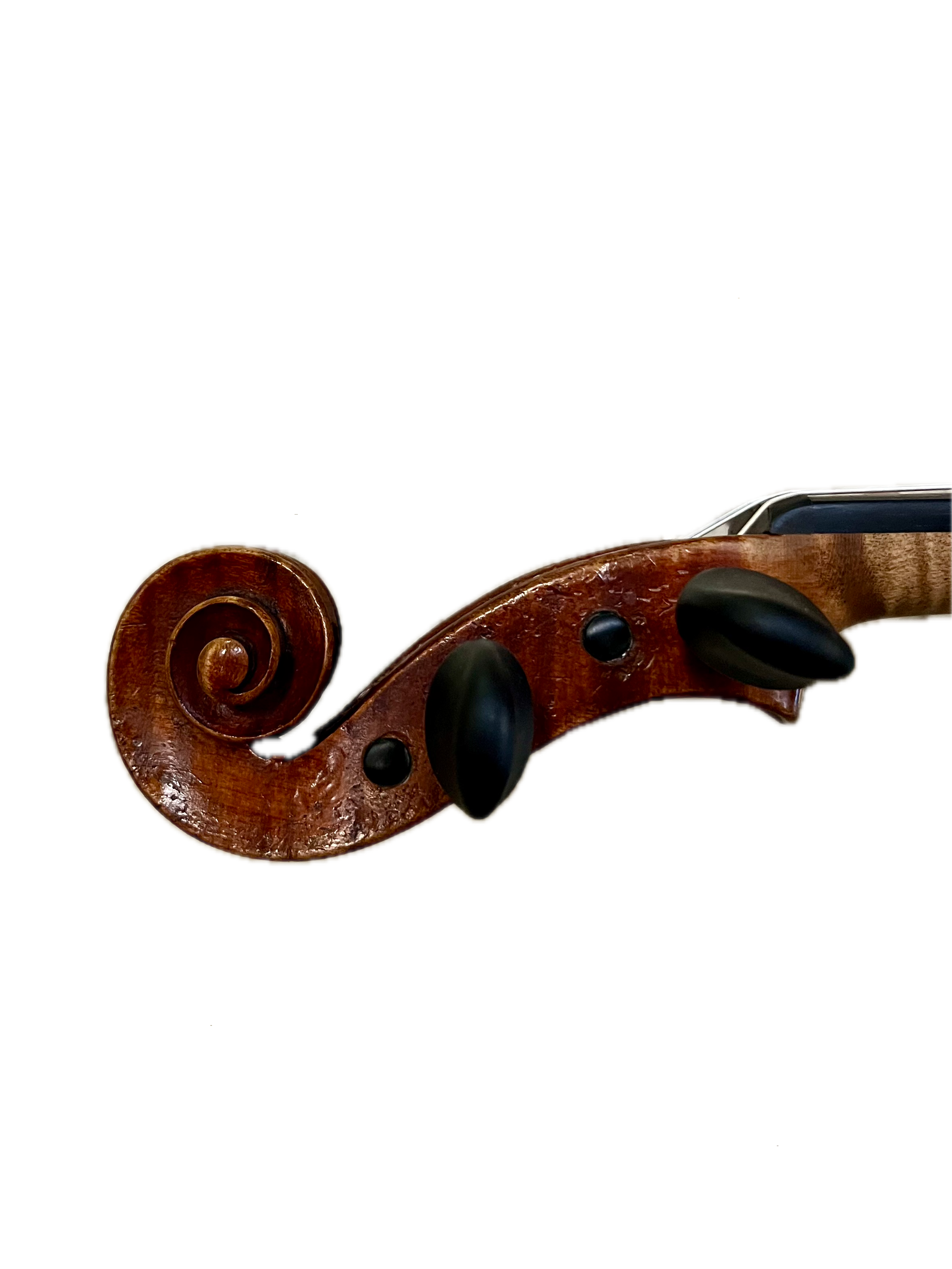 IMG_8600 Background Removed.png