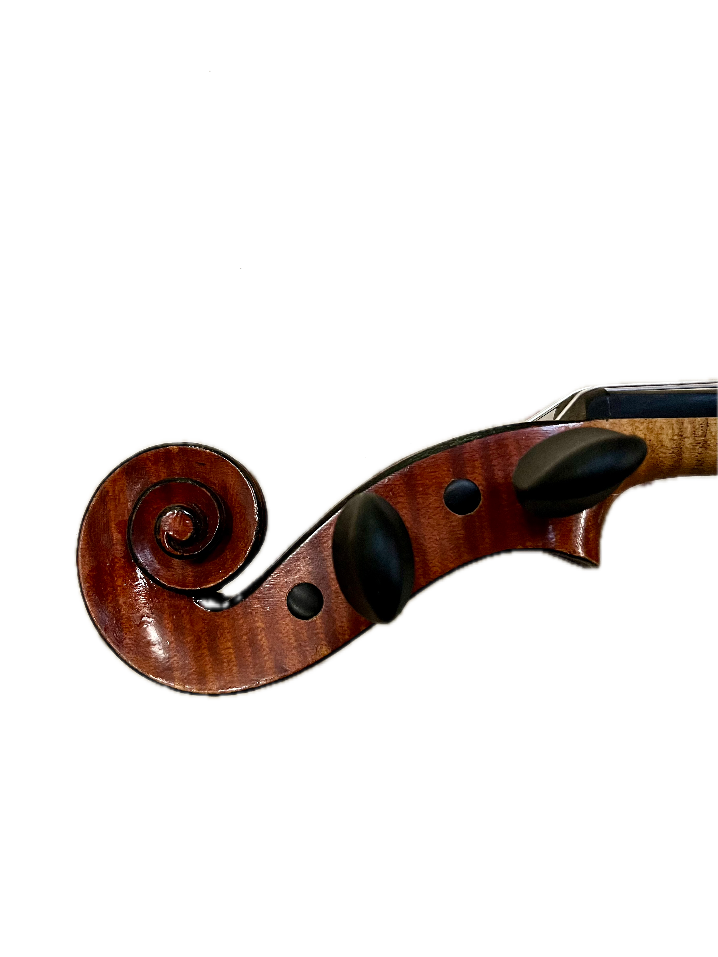 IMG_8607 Background Removed.png