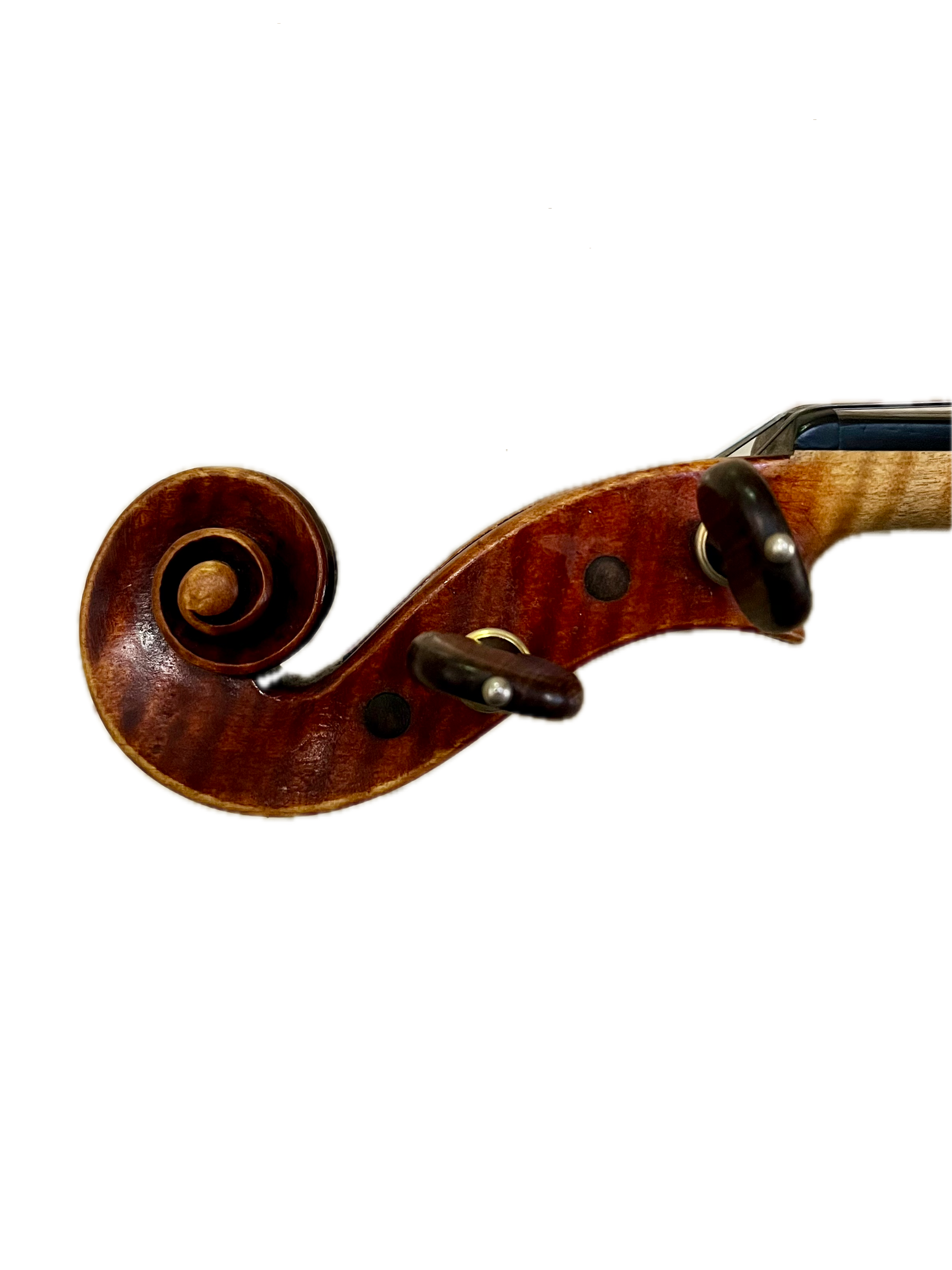 IMG_8610 Background Removed.png