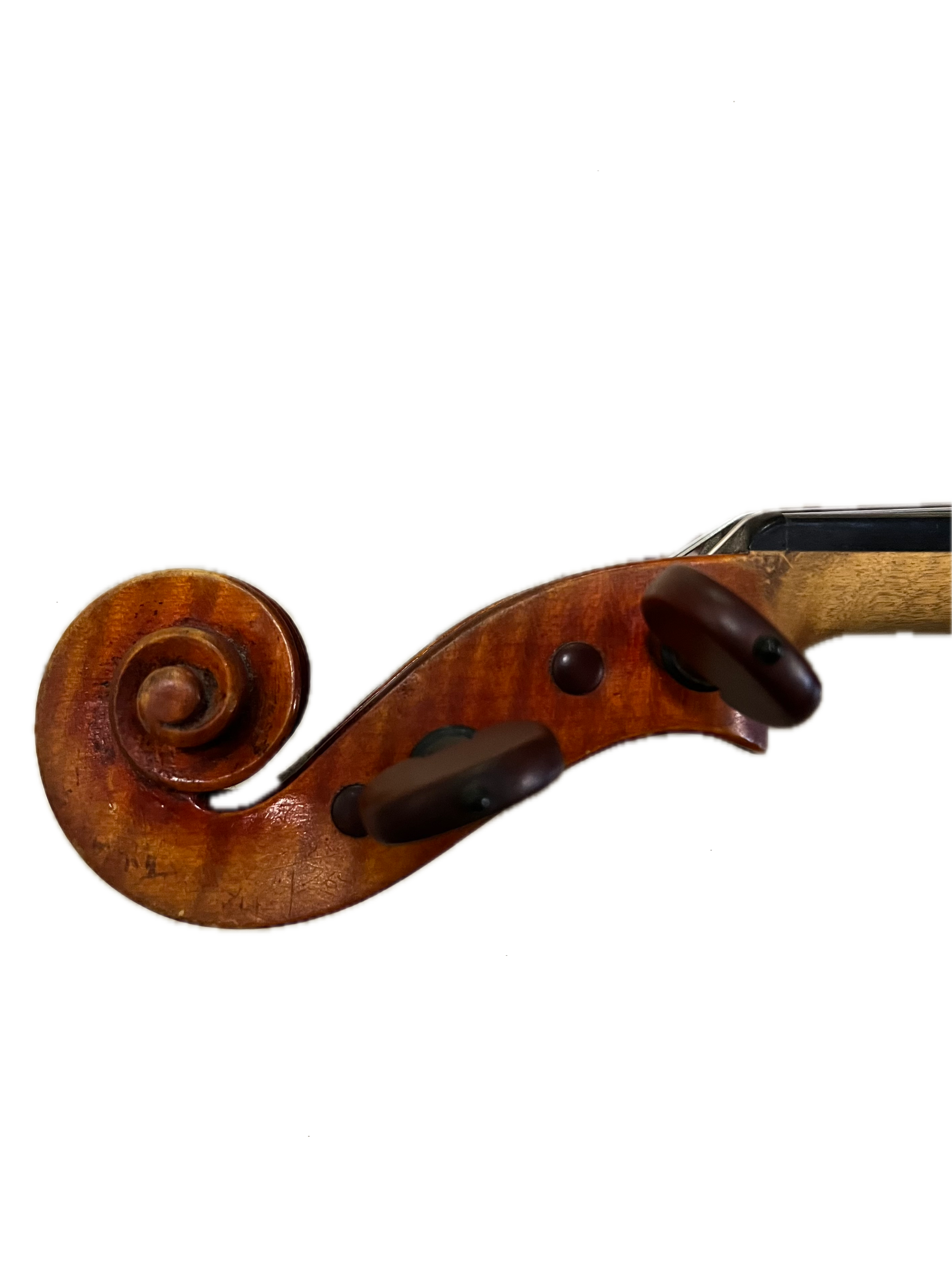 IMG_8613 Background Removed.png