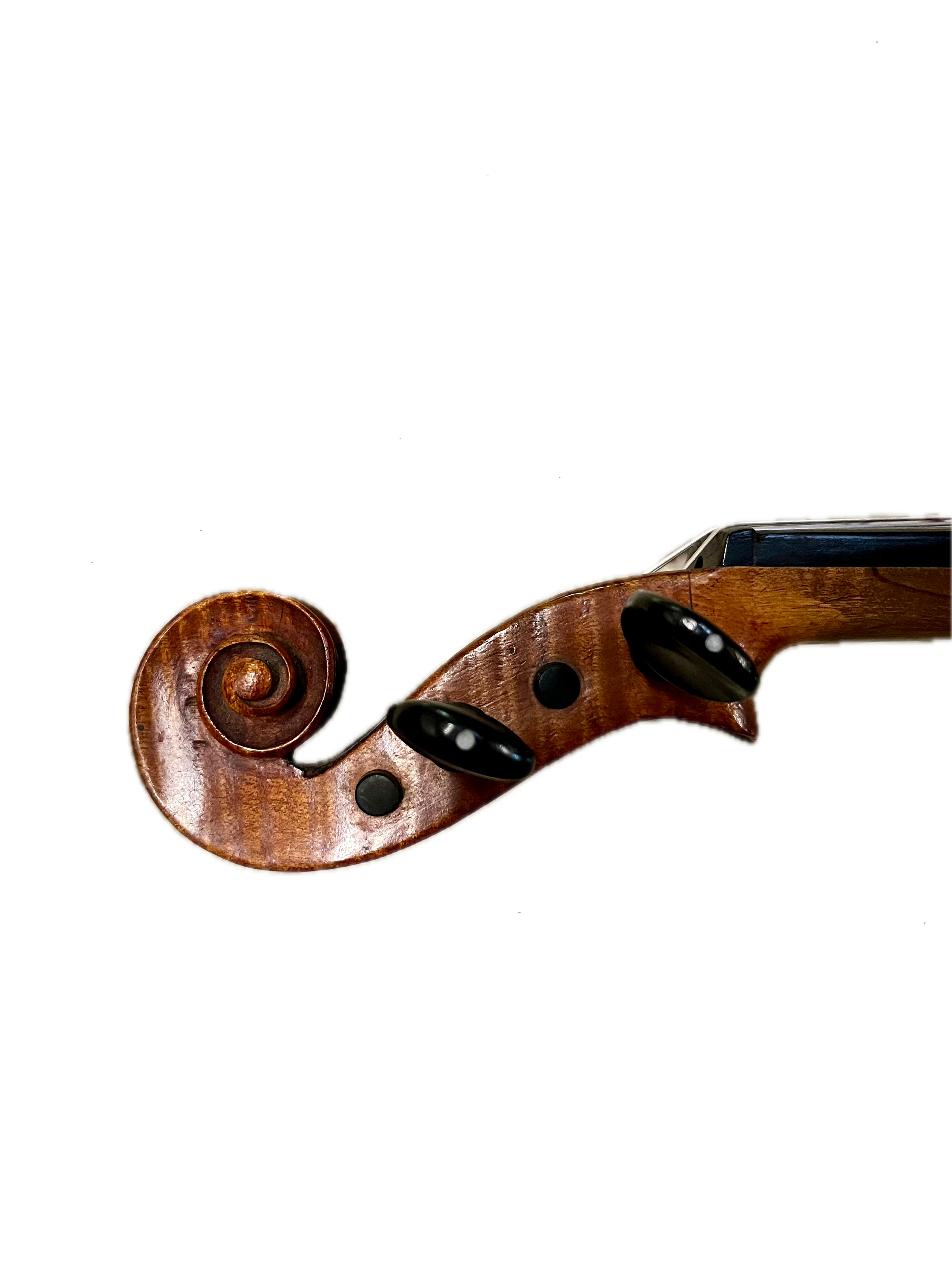 IMG_8617 Background Removed.png