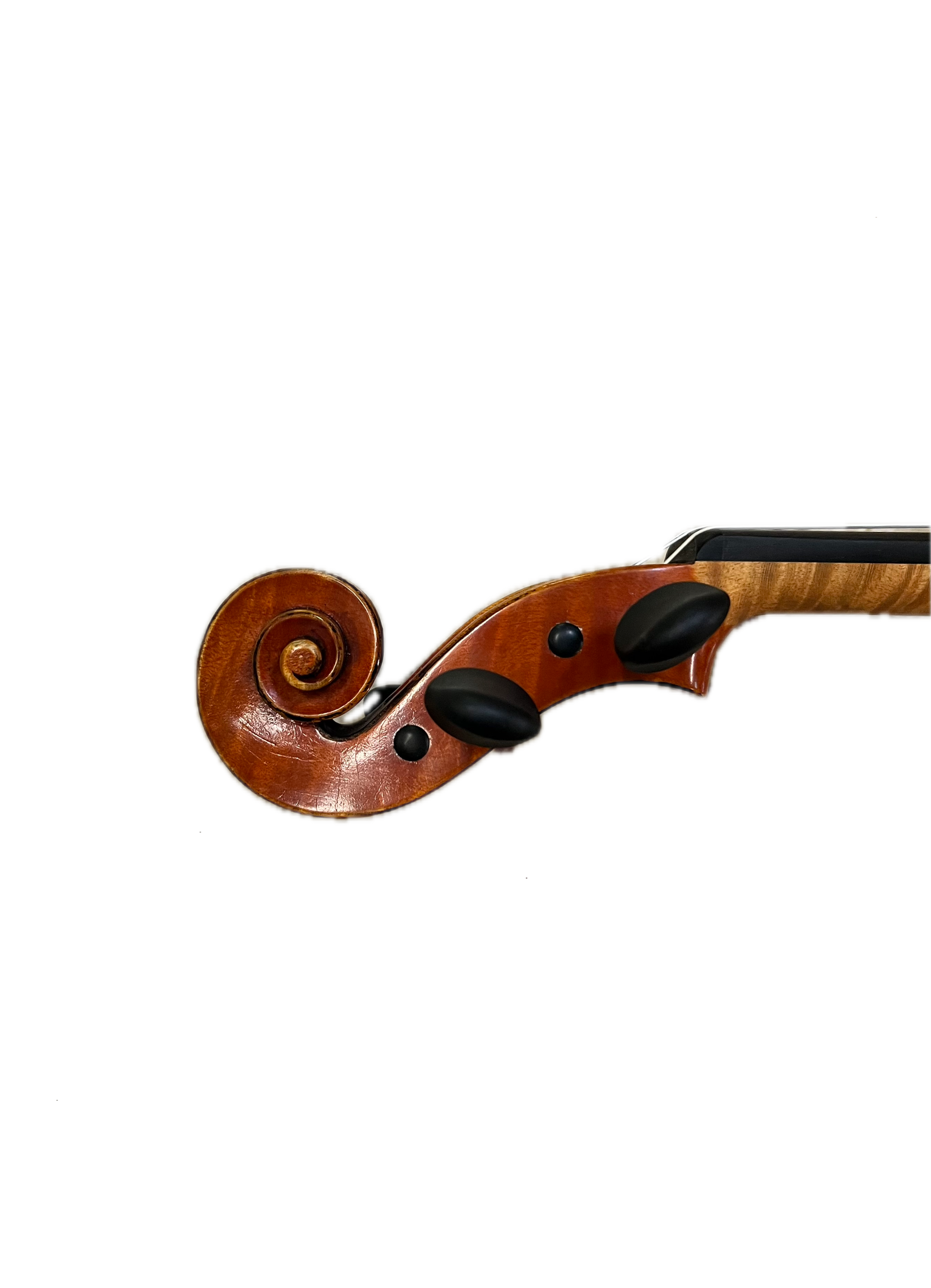 IMG_8627 Background Removed.png