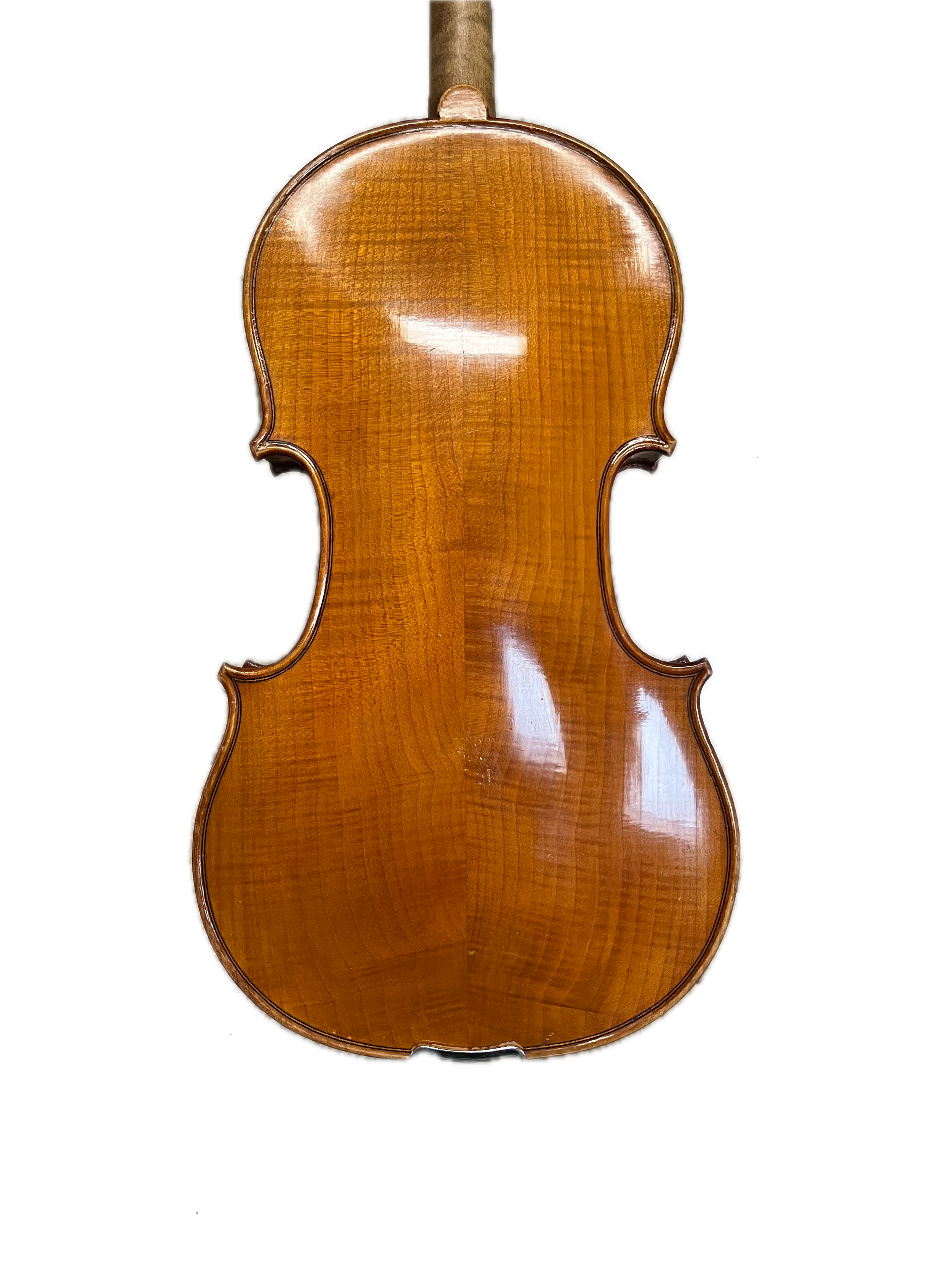 IMG_8631 Background Removed.png