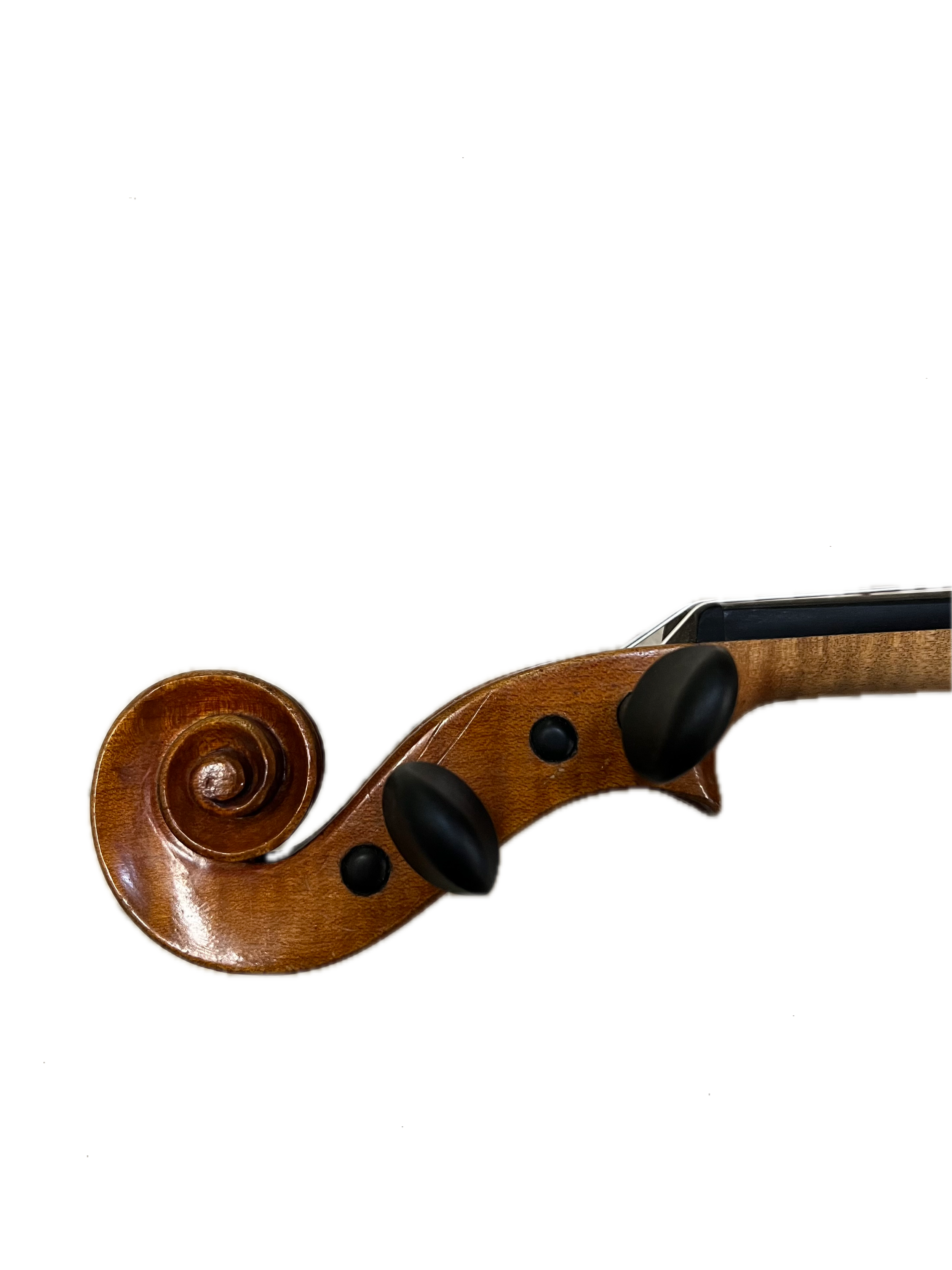 IMG_8632 Background Removed.png