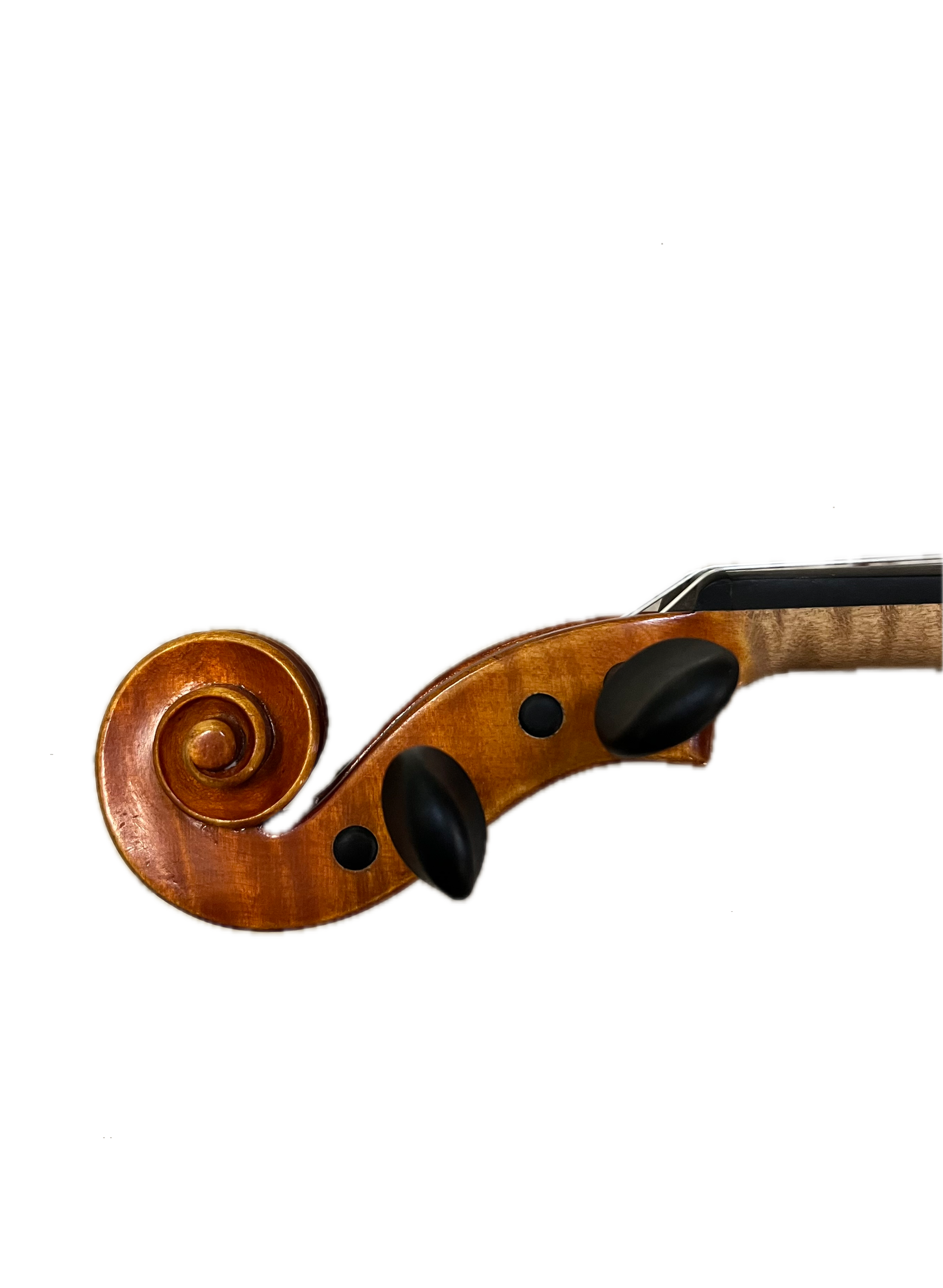 IMG_8638 Background Removed.png