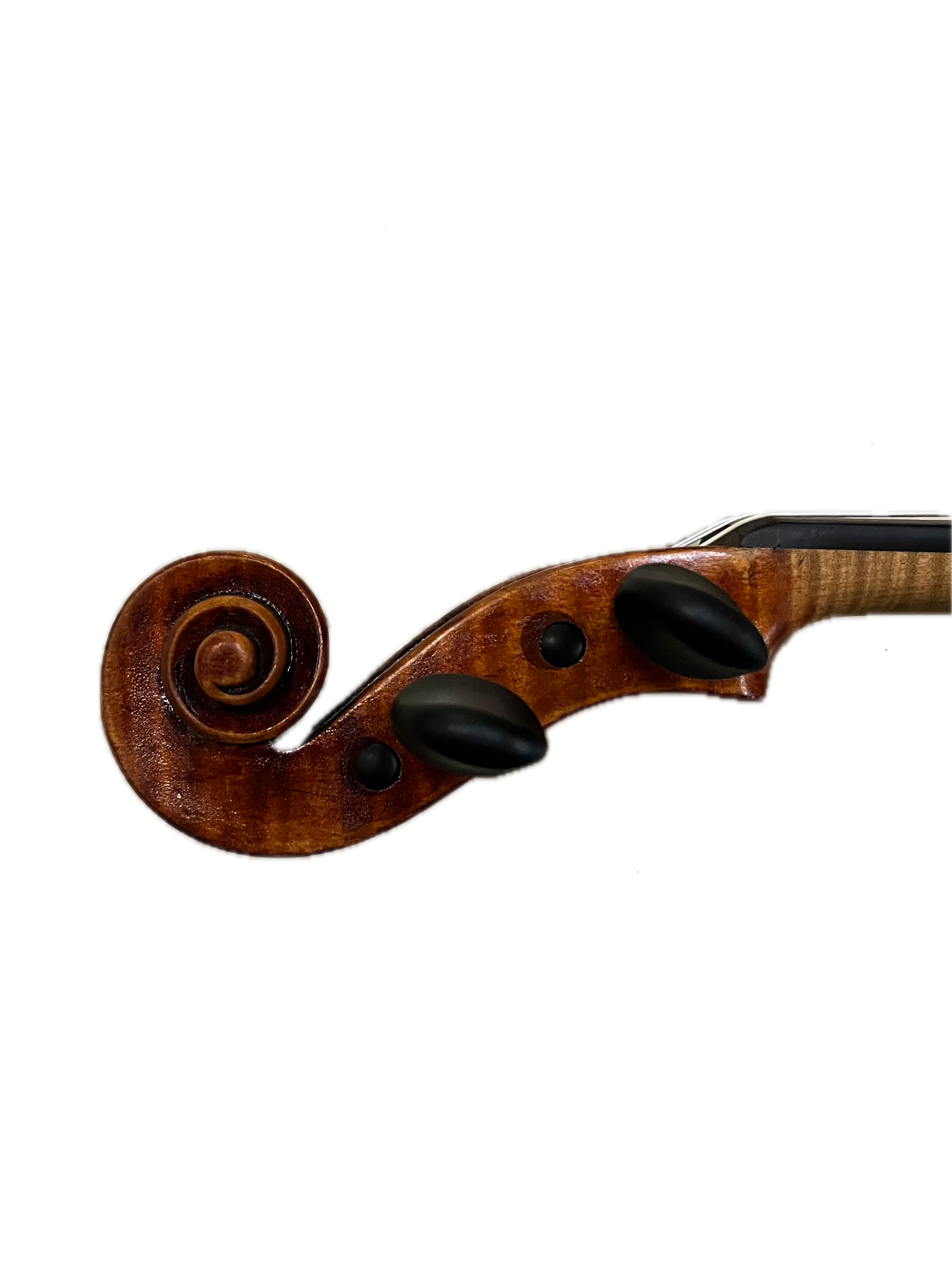 IMG_8623 Background Removed.png