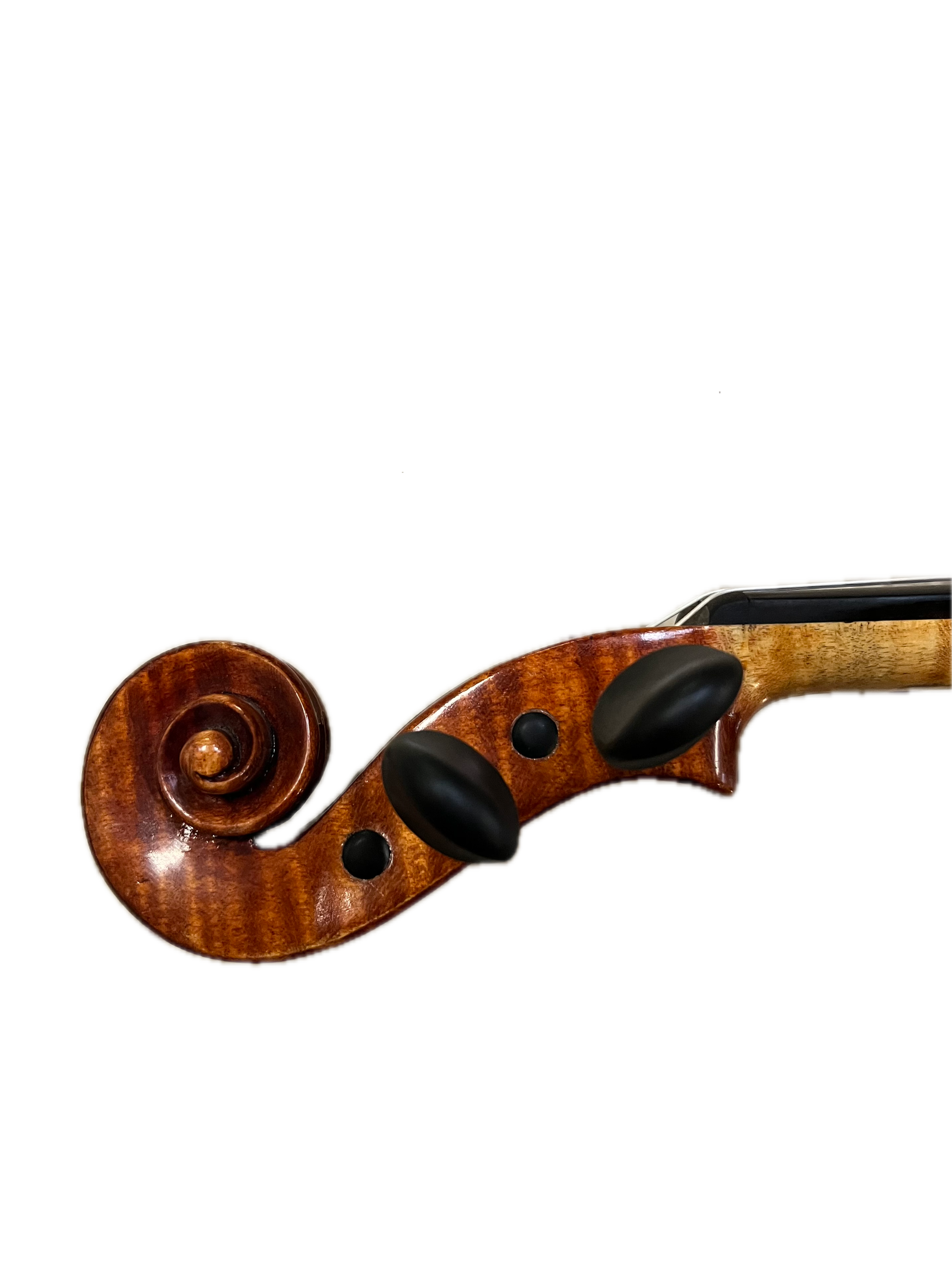 IMG_8641 Background Removed.png