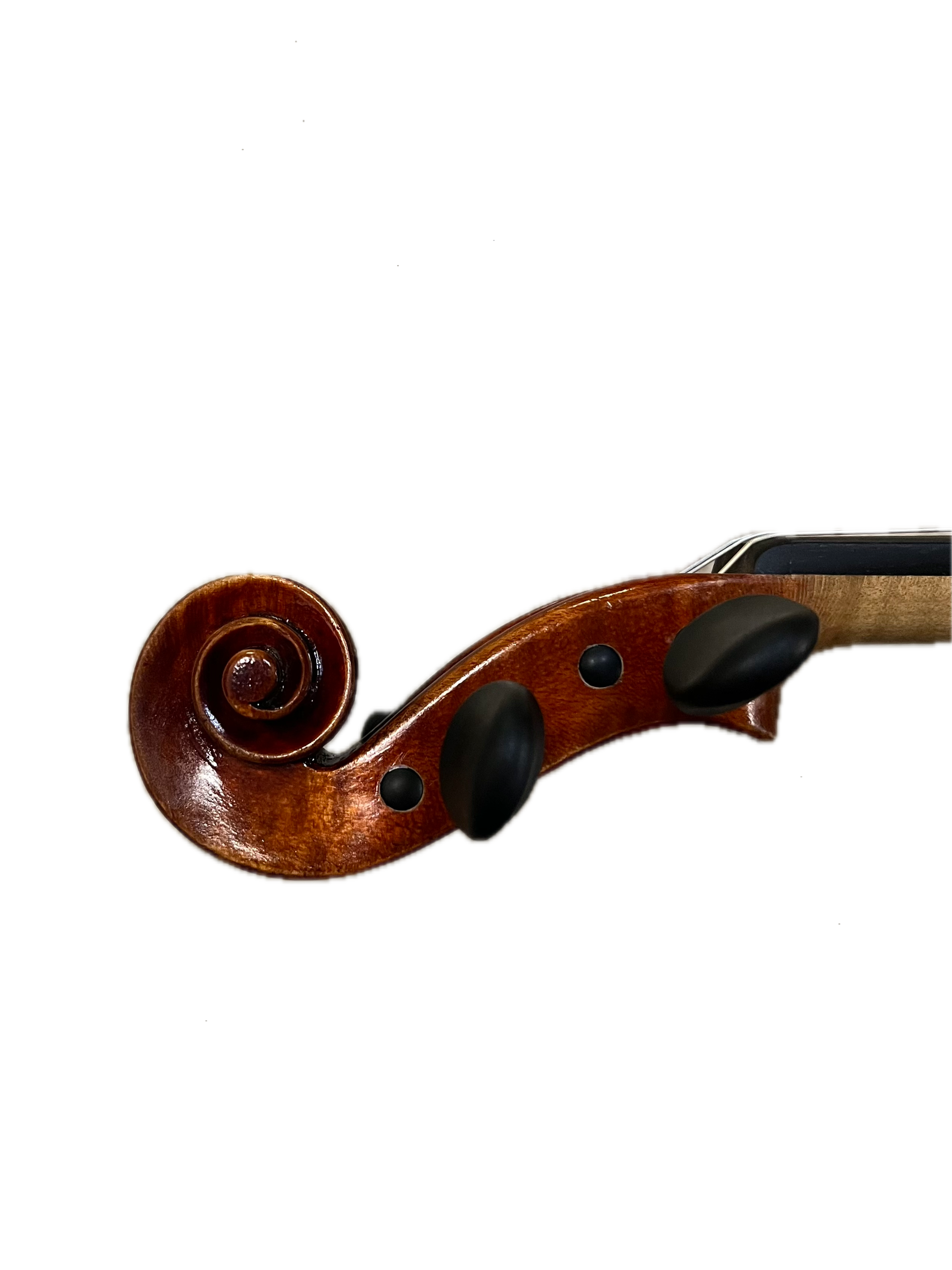 IMG_8645 Background Removed.png