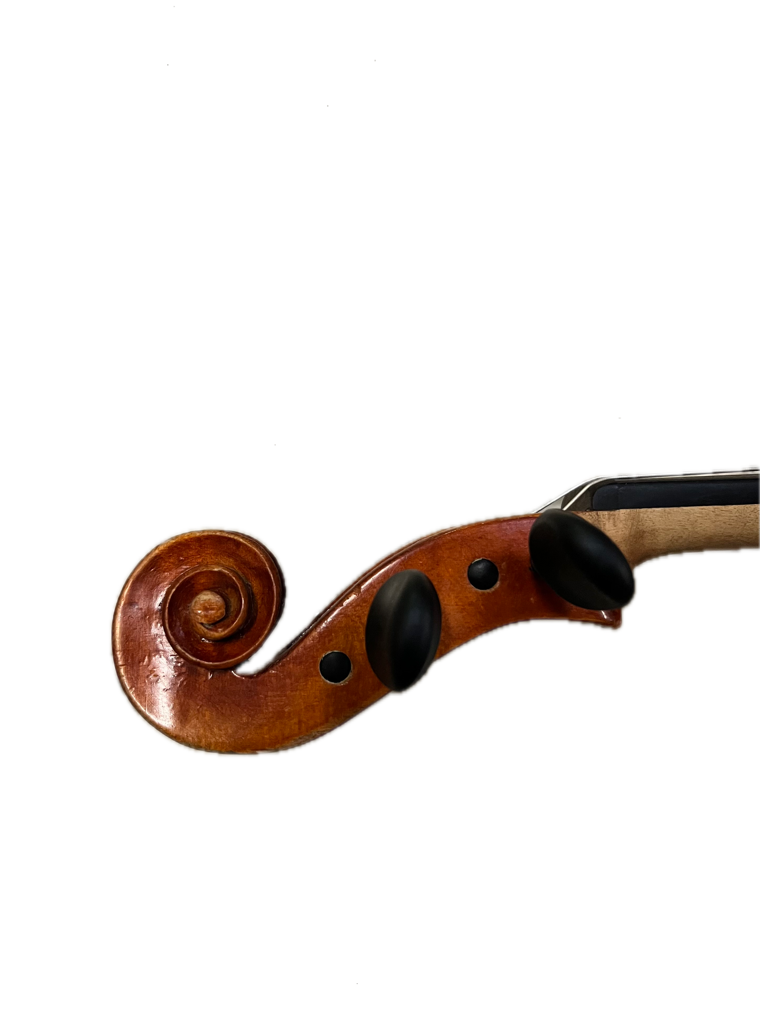 IMG_8649 Background Removed.png