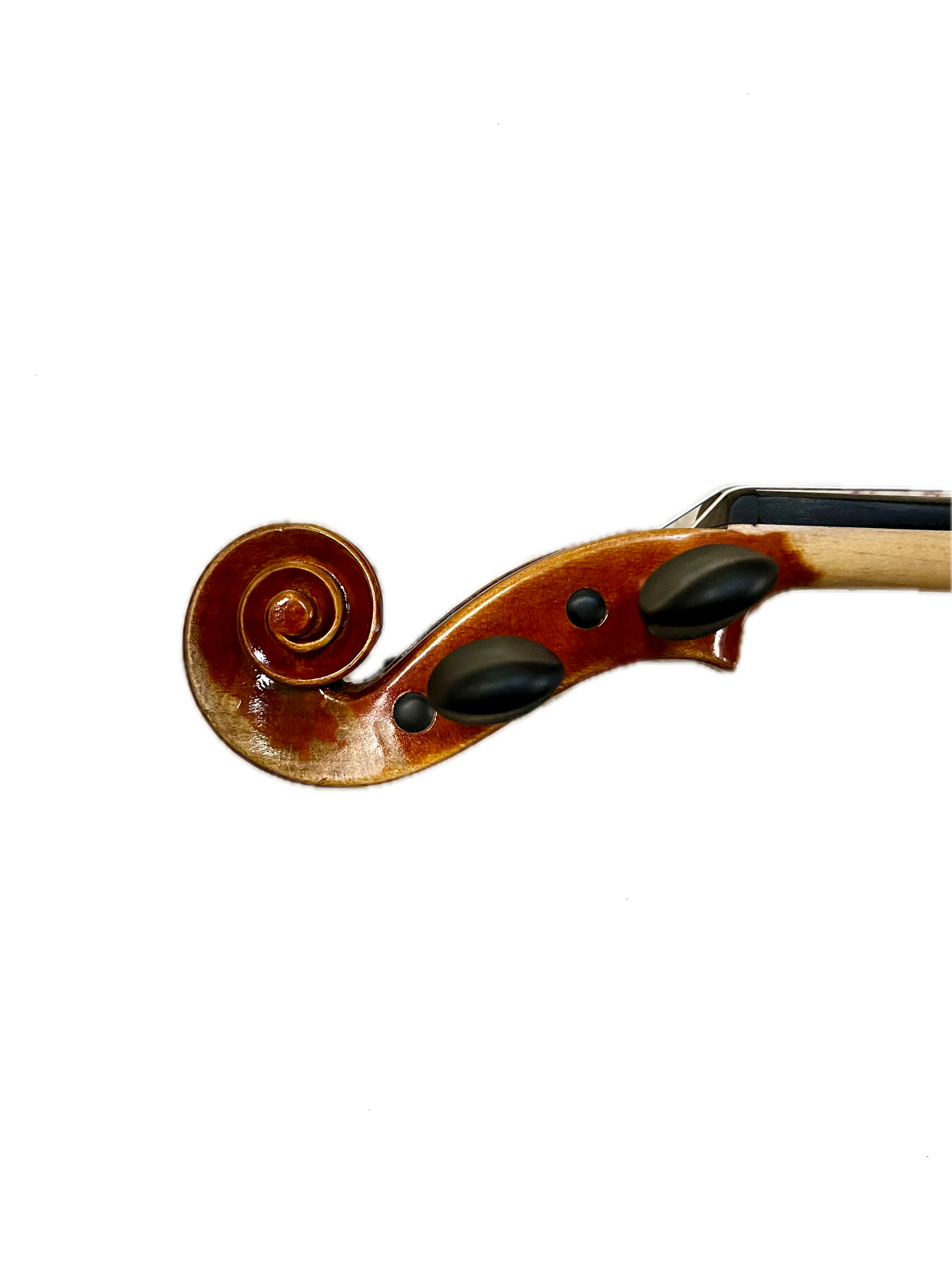 IMG_8655 Background Removed.png