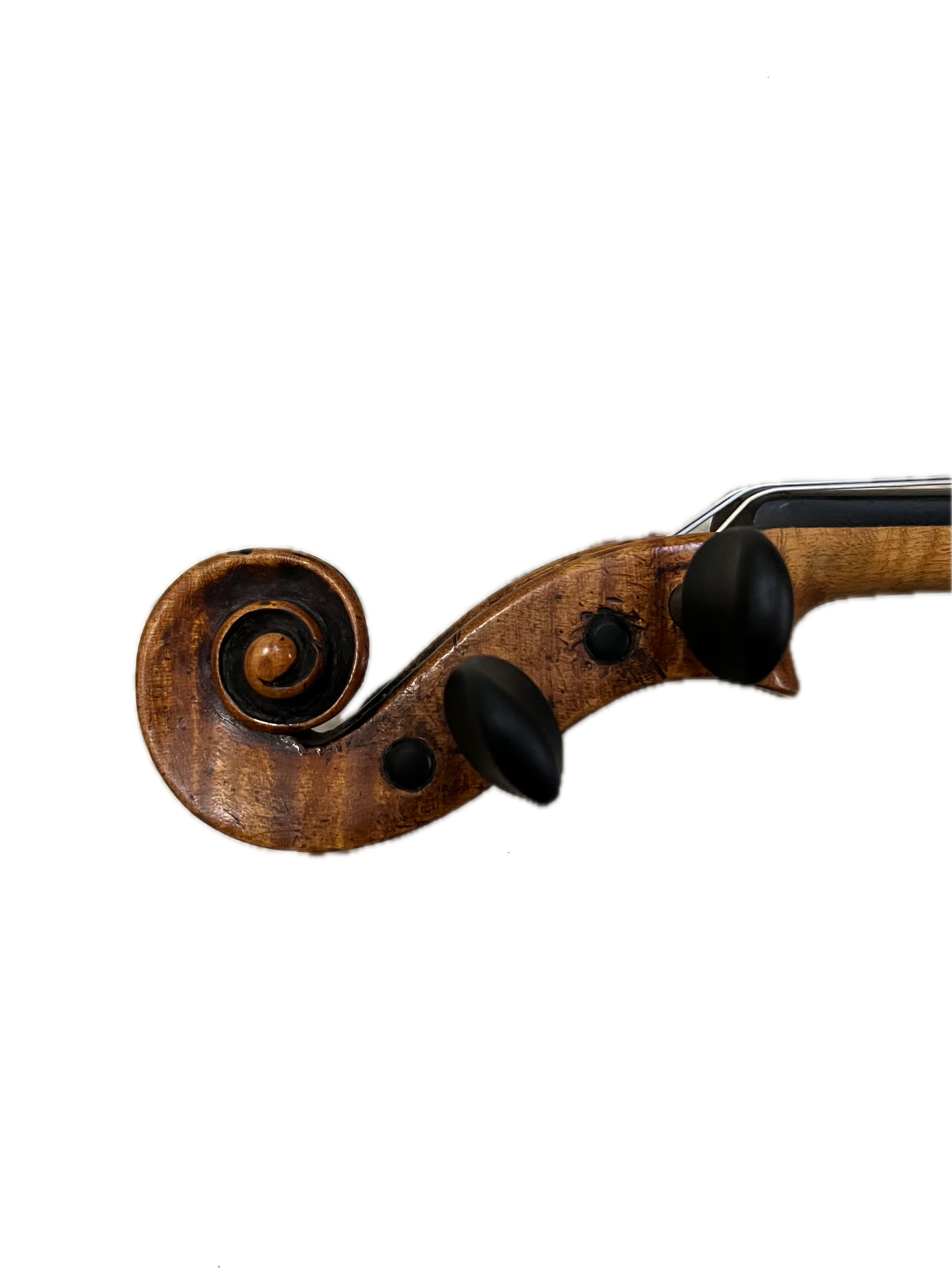 IMG_8658 Background Removed.png