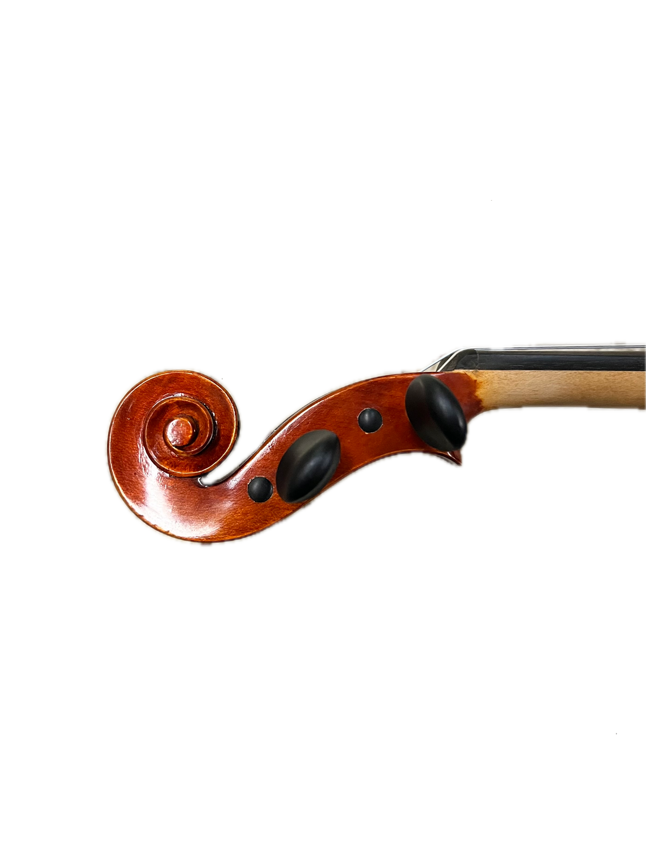 IMG_8661 Background Removed.png