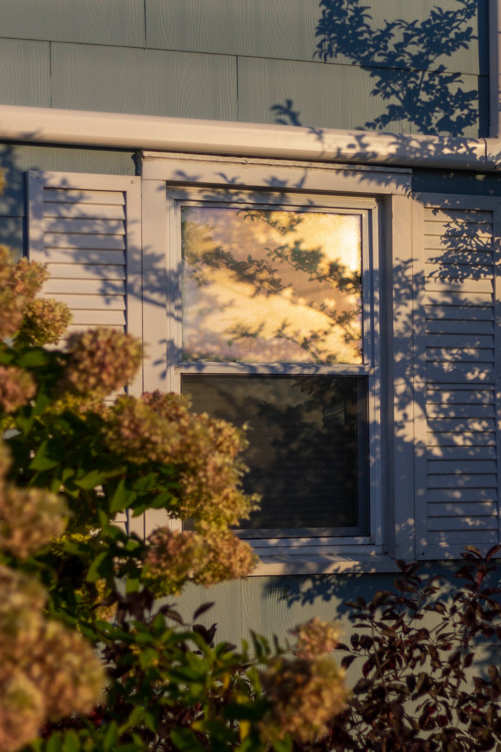 Golden Window