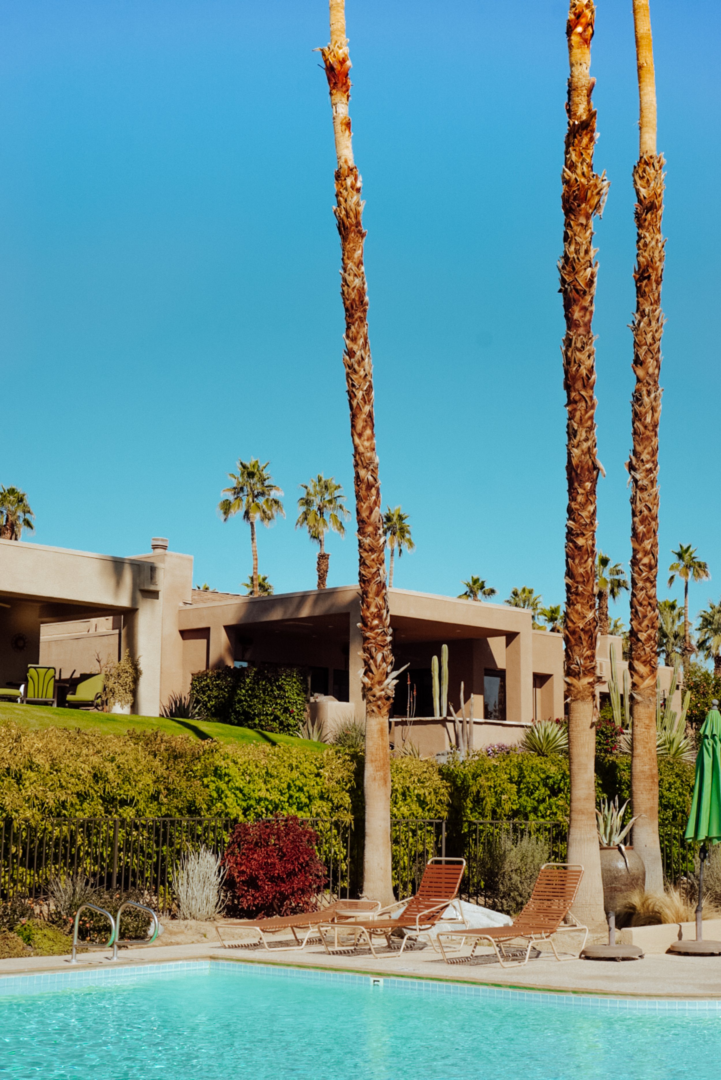 palmsprings-02081.jpg