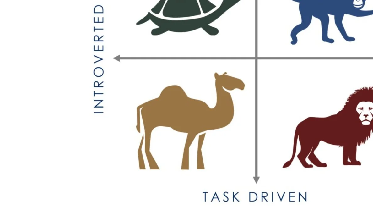The Competent Camel episode artwork