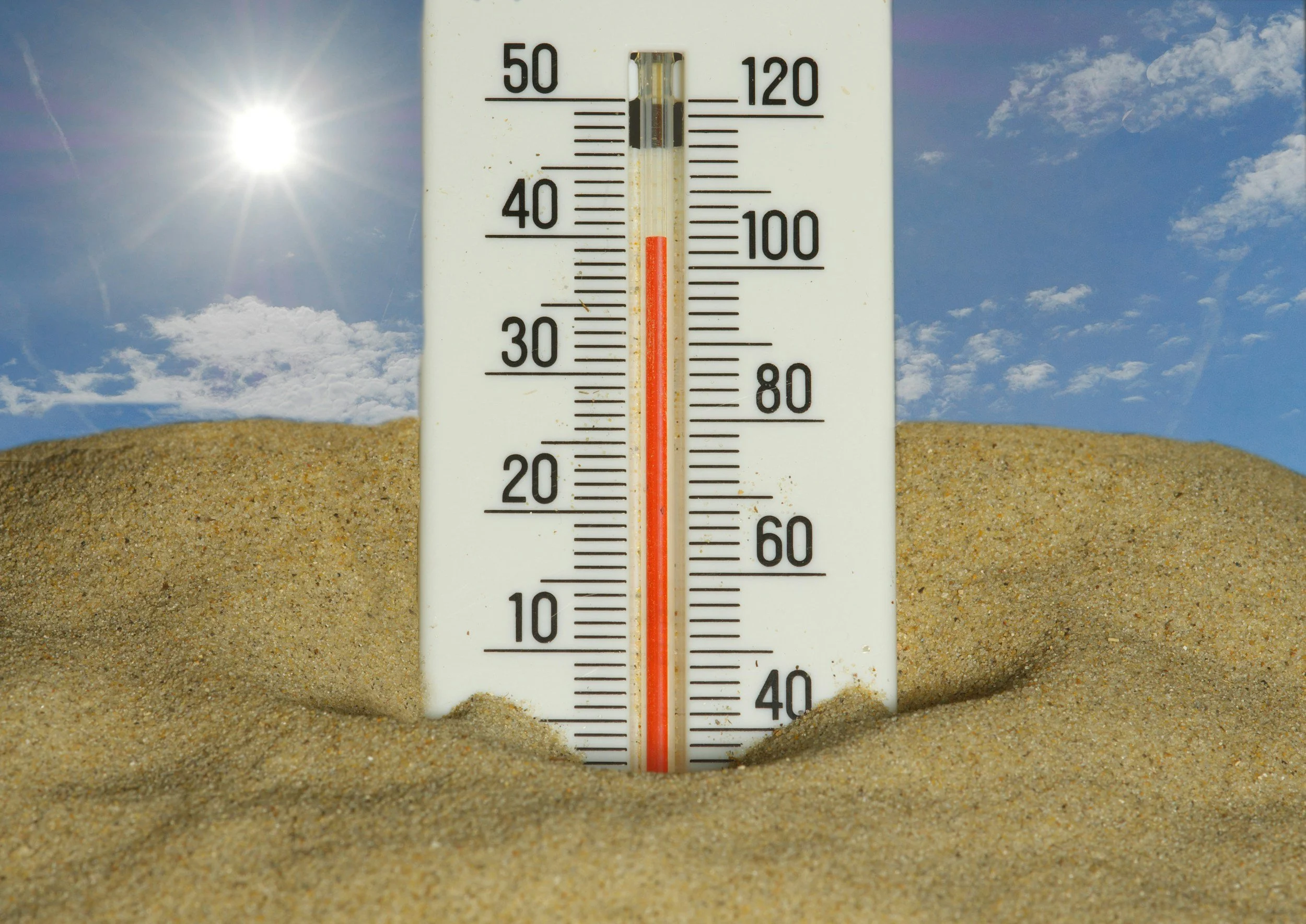 Turn Down The Heat