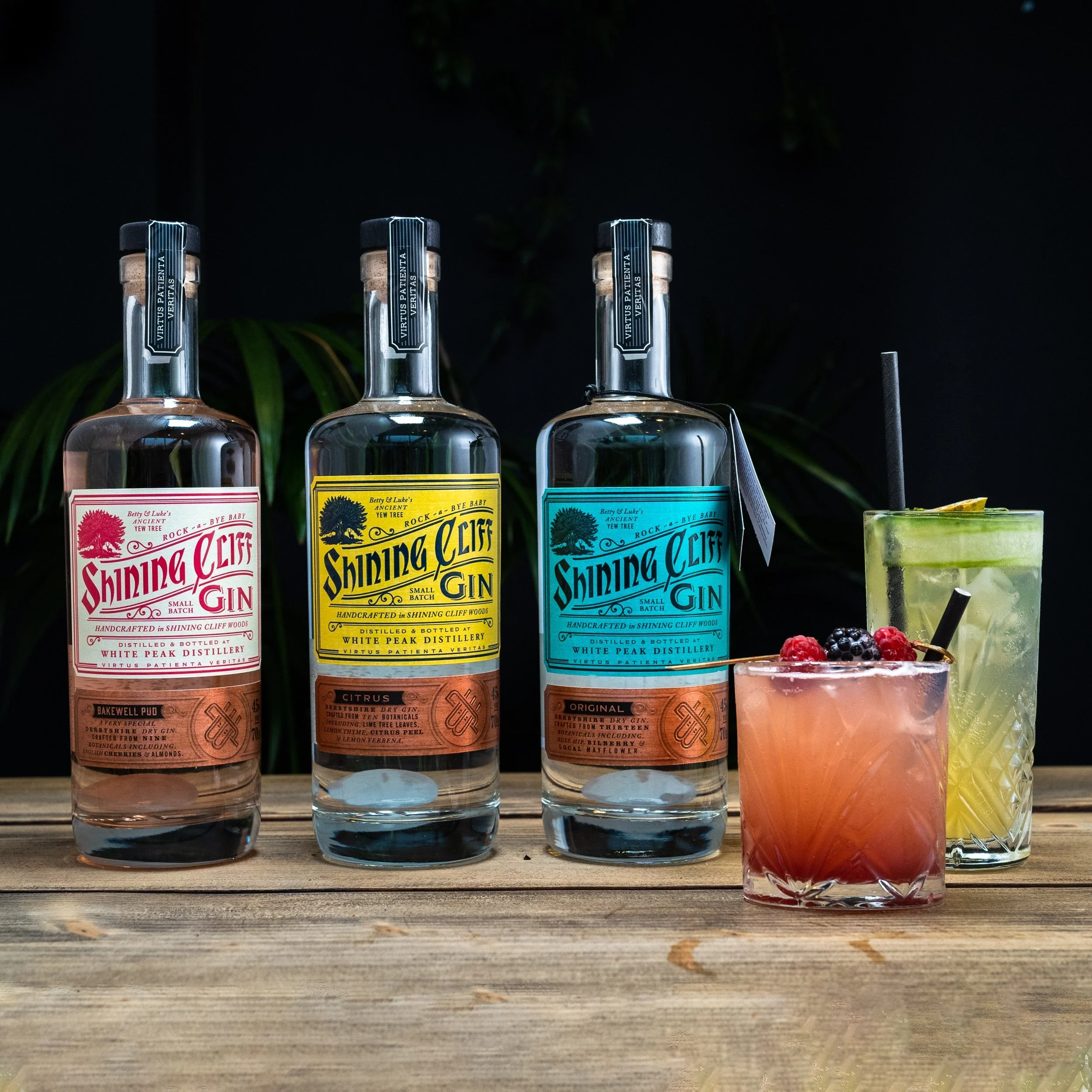 Sans Bar - 16th March (57 of 66).jpeg