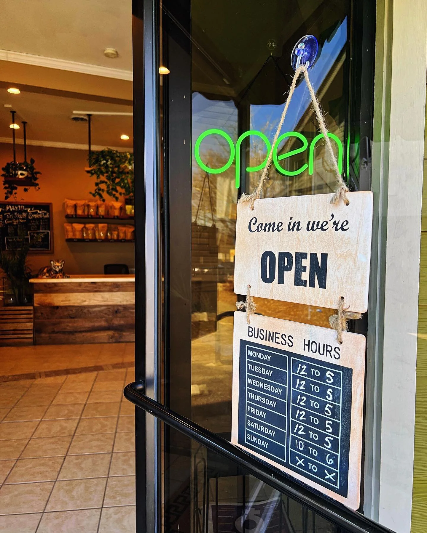 We are excited to announce that THIS WEEKEND we will be opening on SATURDAY! 🌿 Our Saturday hours will be extended 10-6 🐯Come stop by at 481 Hendersonville Road ✨✨✨
.
.
.
.
#asheville #ashevillenc #ashevillelocal #ashevillelocals #ashevillelocalbus