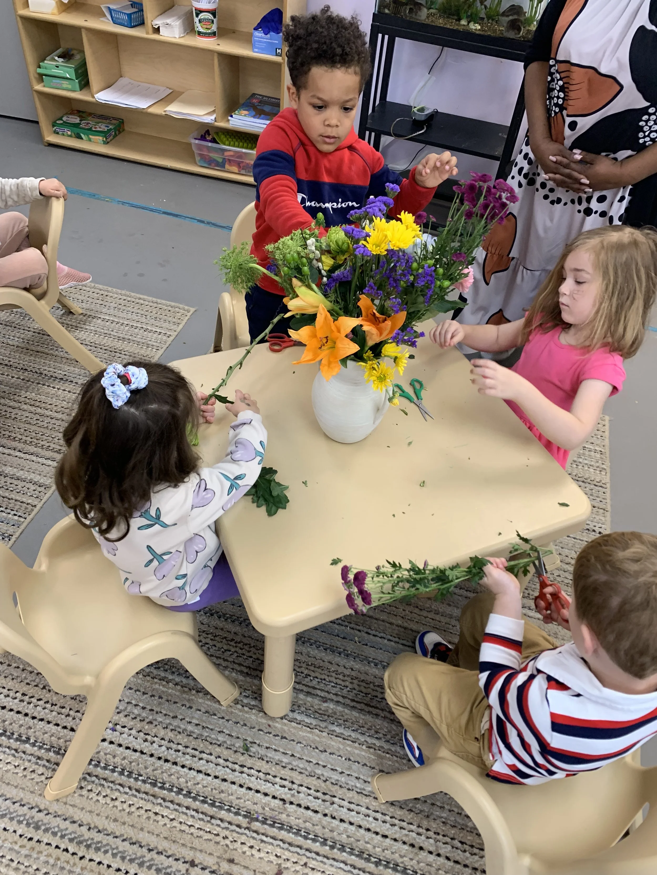 IMG_2738 Southern stars montessori.jpeg