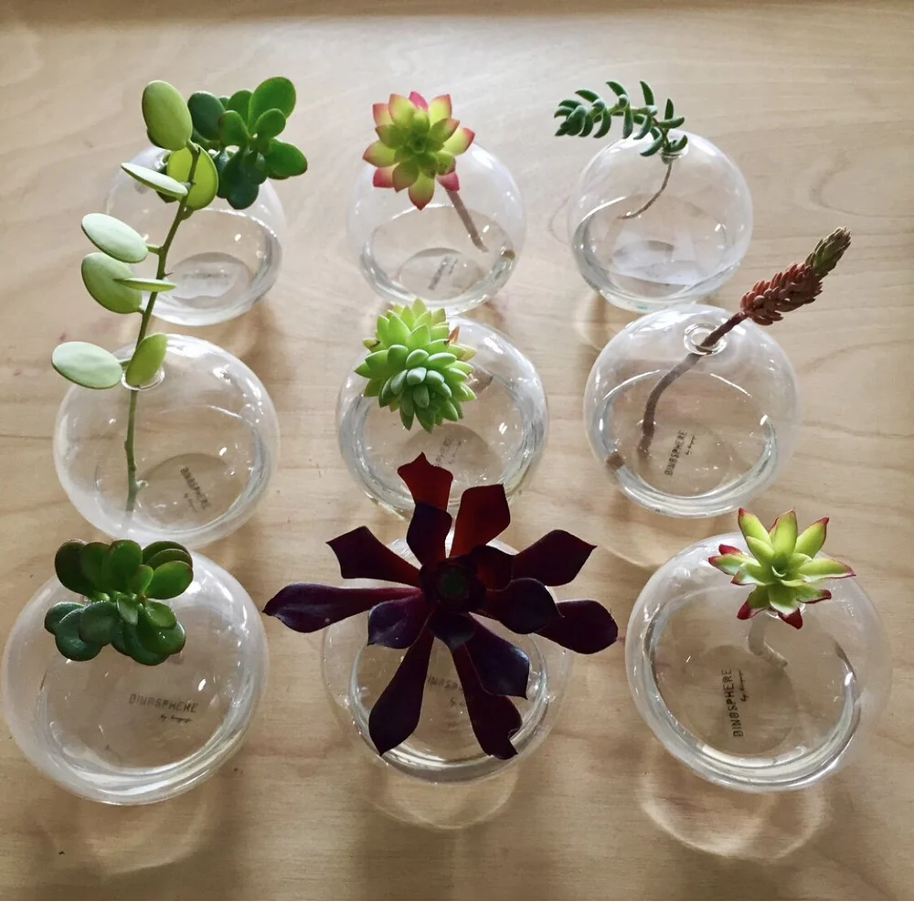 Gallery — Art FORM San Diego