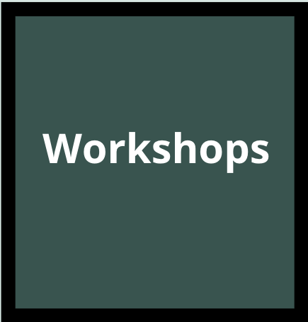 Screen Shot 2024-12-19 at 10.08.26 AM.png