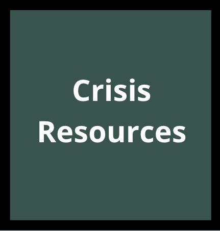 Screen Shot 2024-12-19 at 10.08.39 AM.png