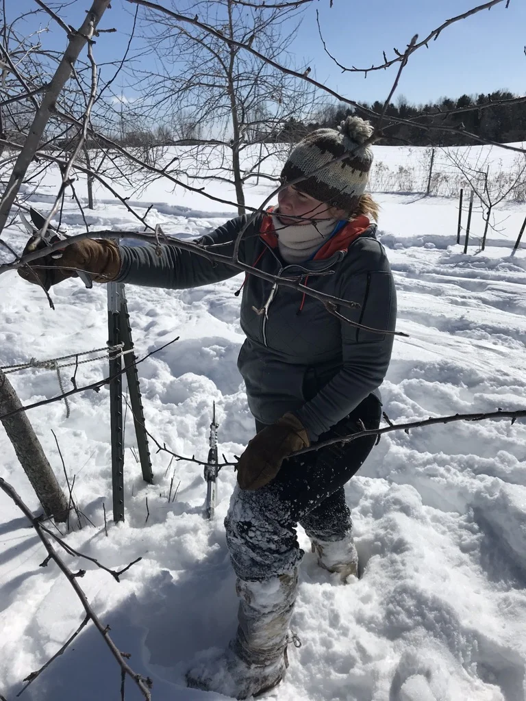 Tree Trimming 