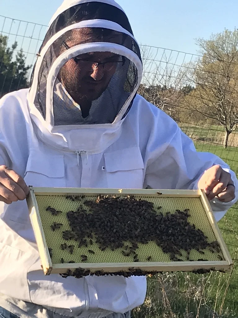 What's buzzing? 