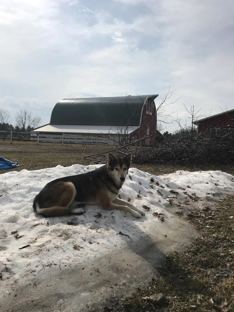 Will it ever melt?